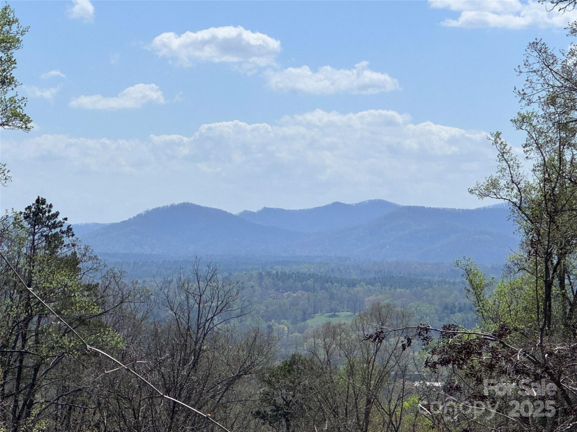 Property image 3 at 44 Samuel Ashe Drive, Asheville, NC 28805