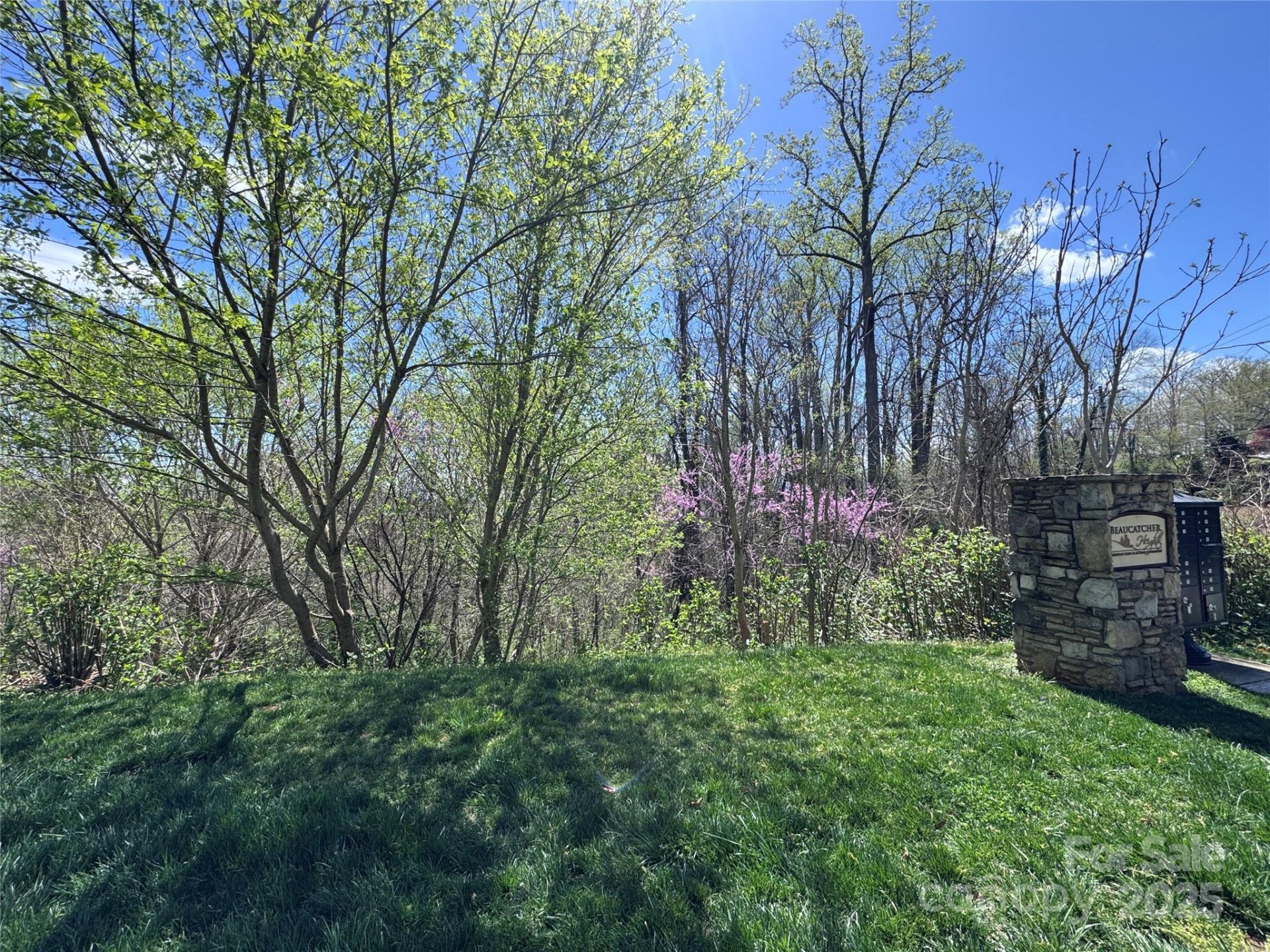 Property image 4 at 44 Samuel Ashe Drive, Asheville, NC 28805
