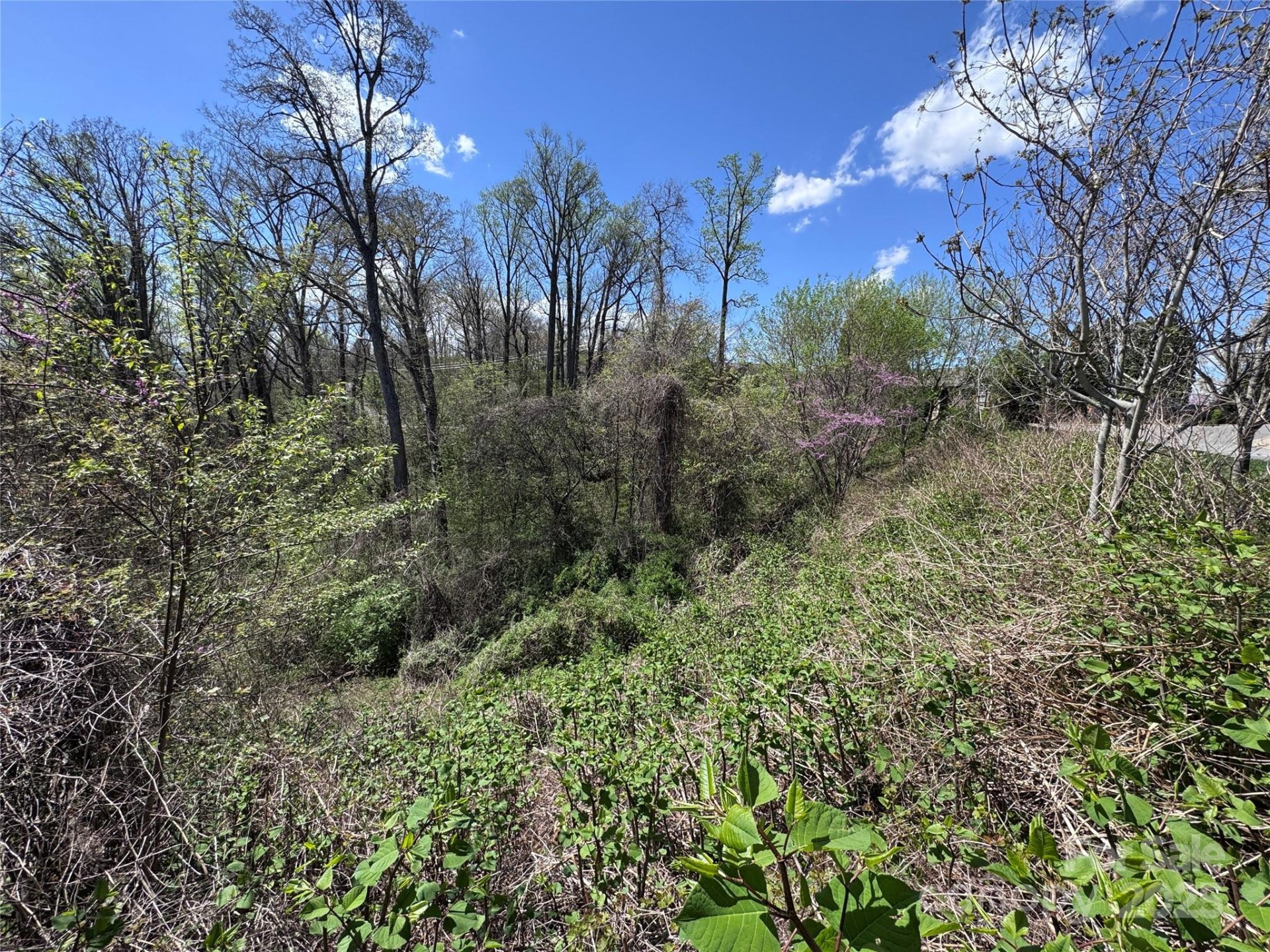 Property image 5 at 44 Samuel Ashe Drive, Asheville, NC 28805