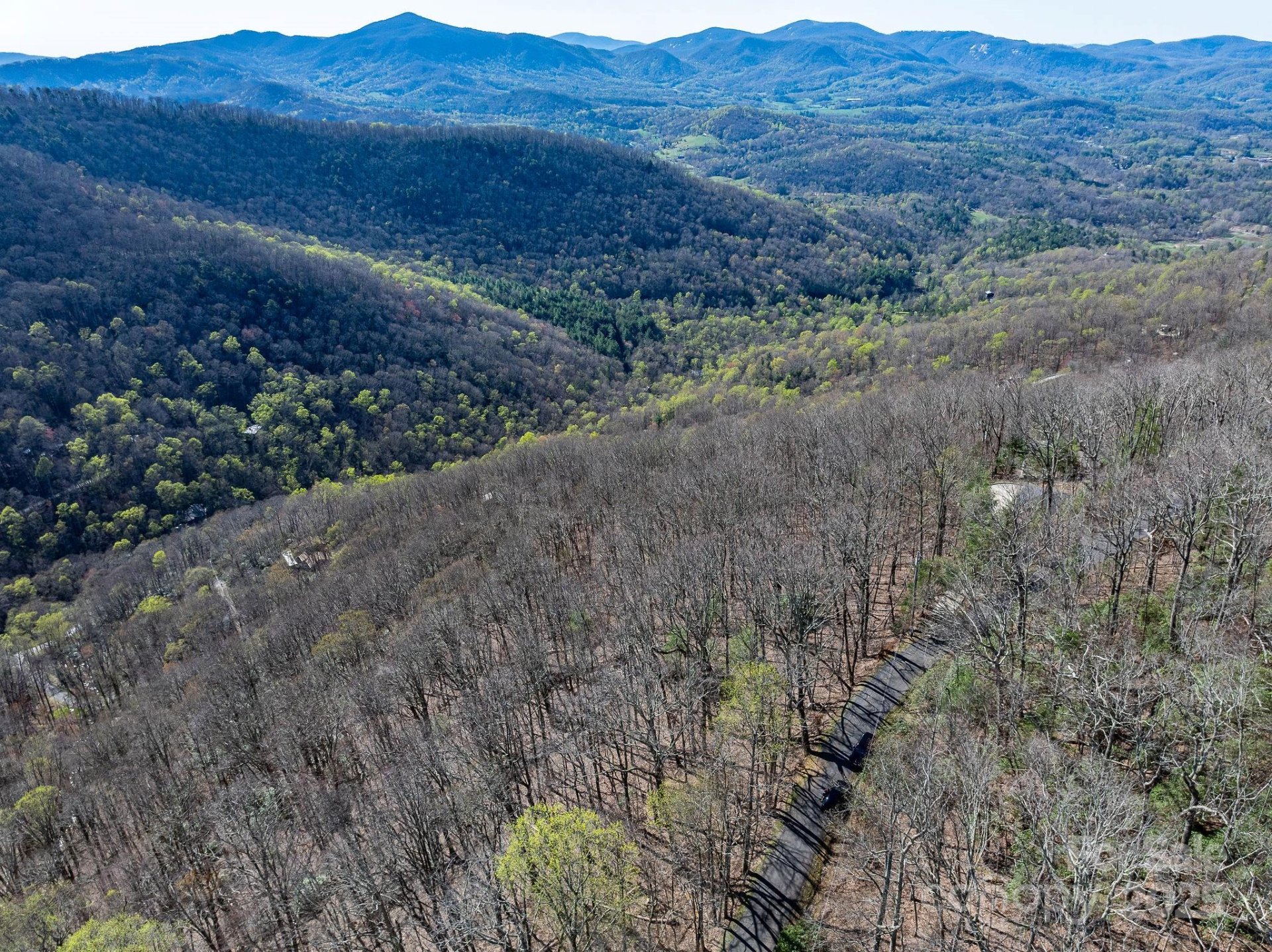 Property image 2 at 99999 Chestnut Forest Road, Fairview, NC 28730