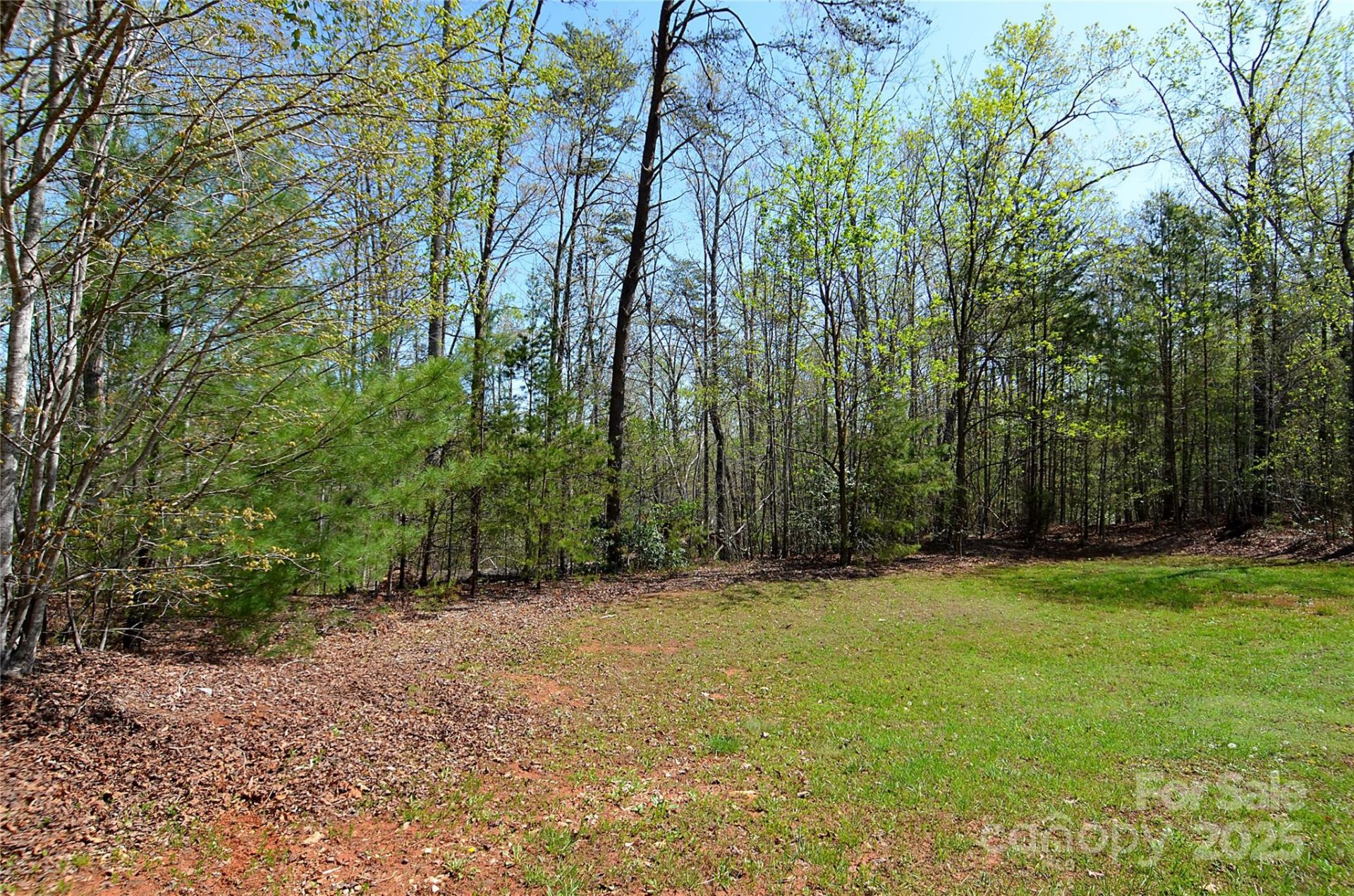 Property image 1 at 00 Forest Country Drive, Marion, NC 28752