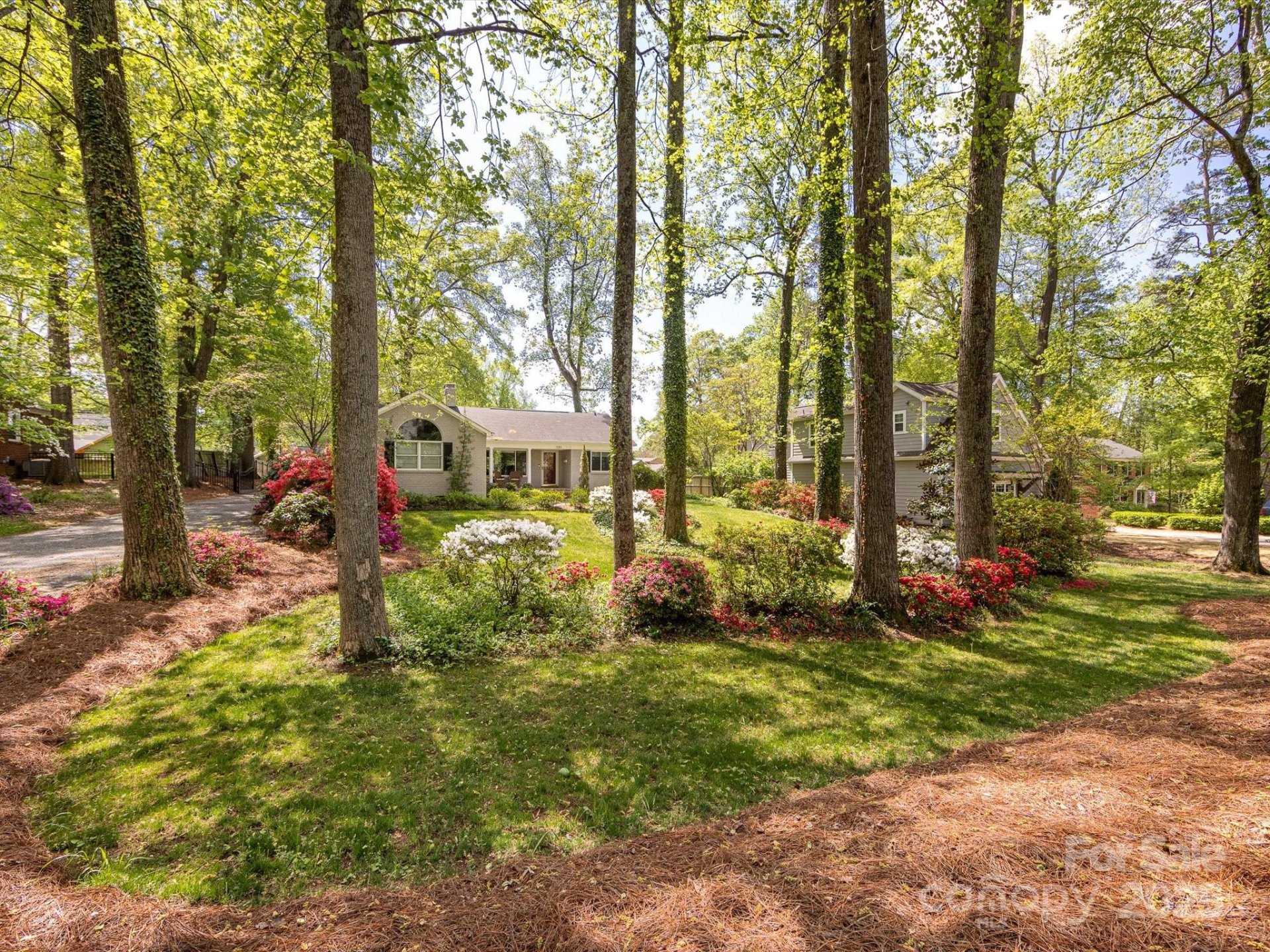 Property image 2 at 1310 Woodland Drive, Charlotte, NC 28205