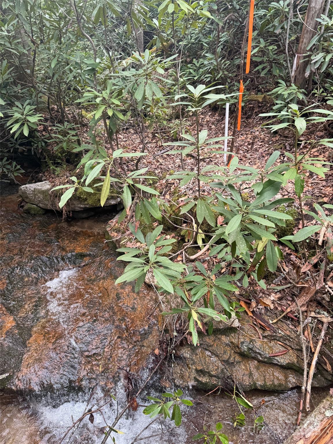 Property at Tract A Cherrywood Lane, Pisgah Forest, NC 28768