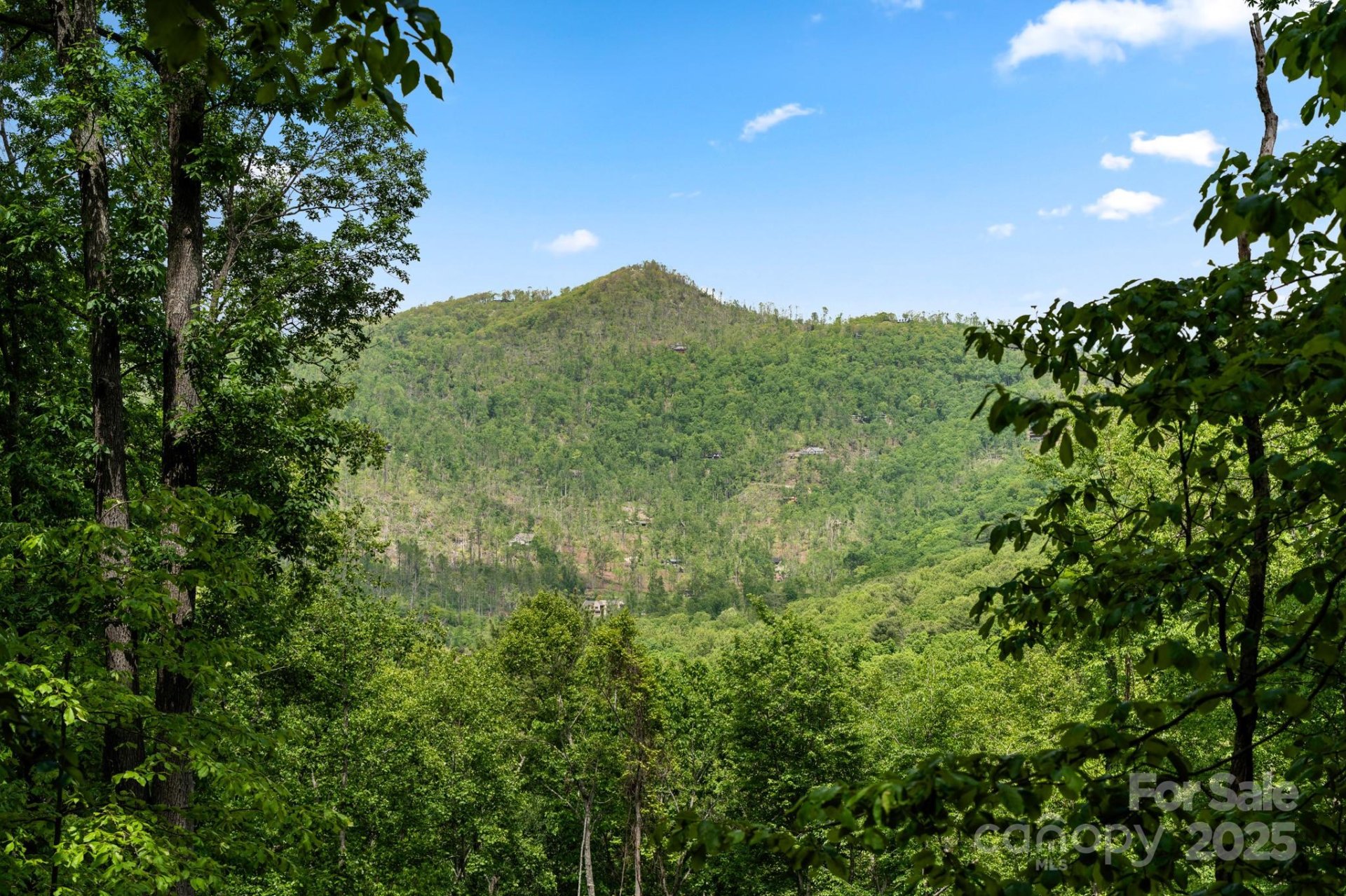 99999 Hawk Ridge