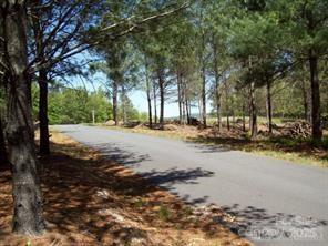 Property image 3 at 1552 Bear Cliff Drive, Nebo, NC 28761