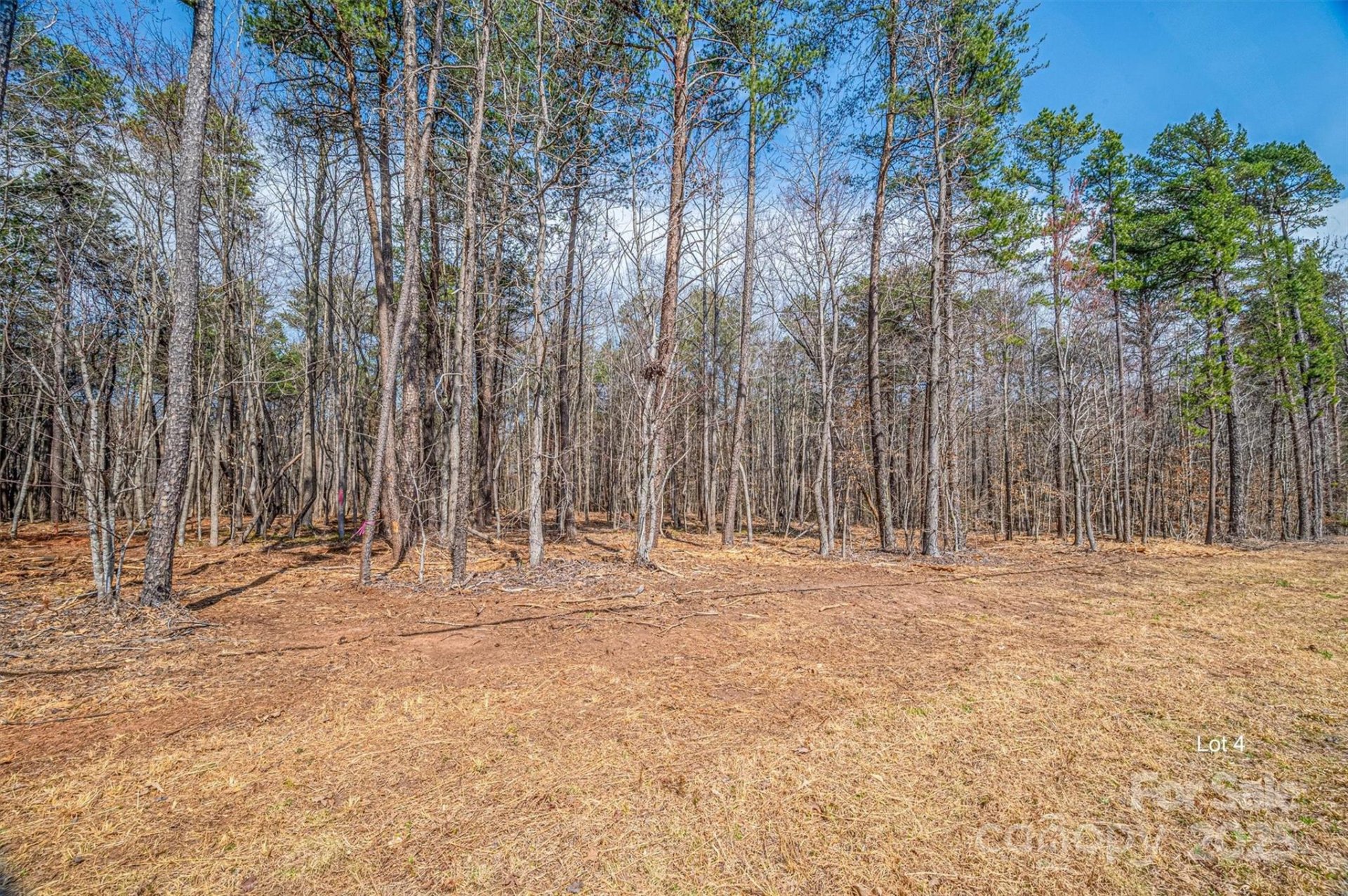 Property image 1 at 00 Forney Hill Road, Denver, NC 28037