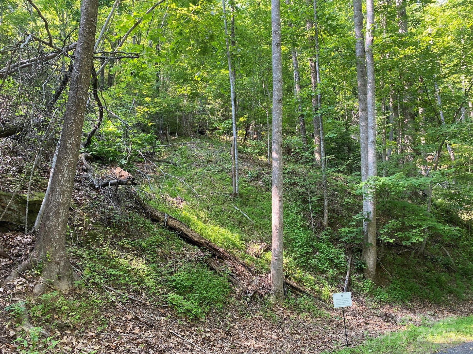 Property image 2 at 0 South Drive, Lake Lure, NC 28746