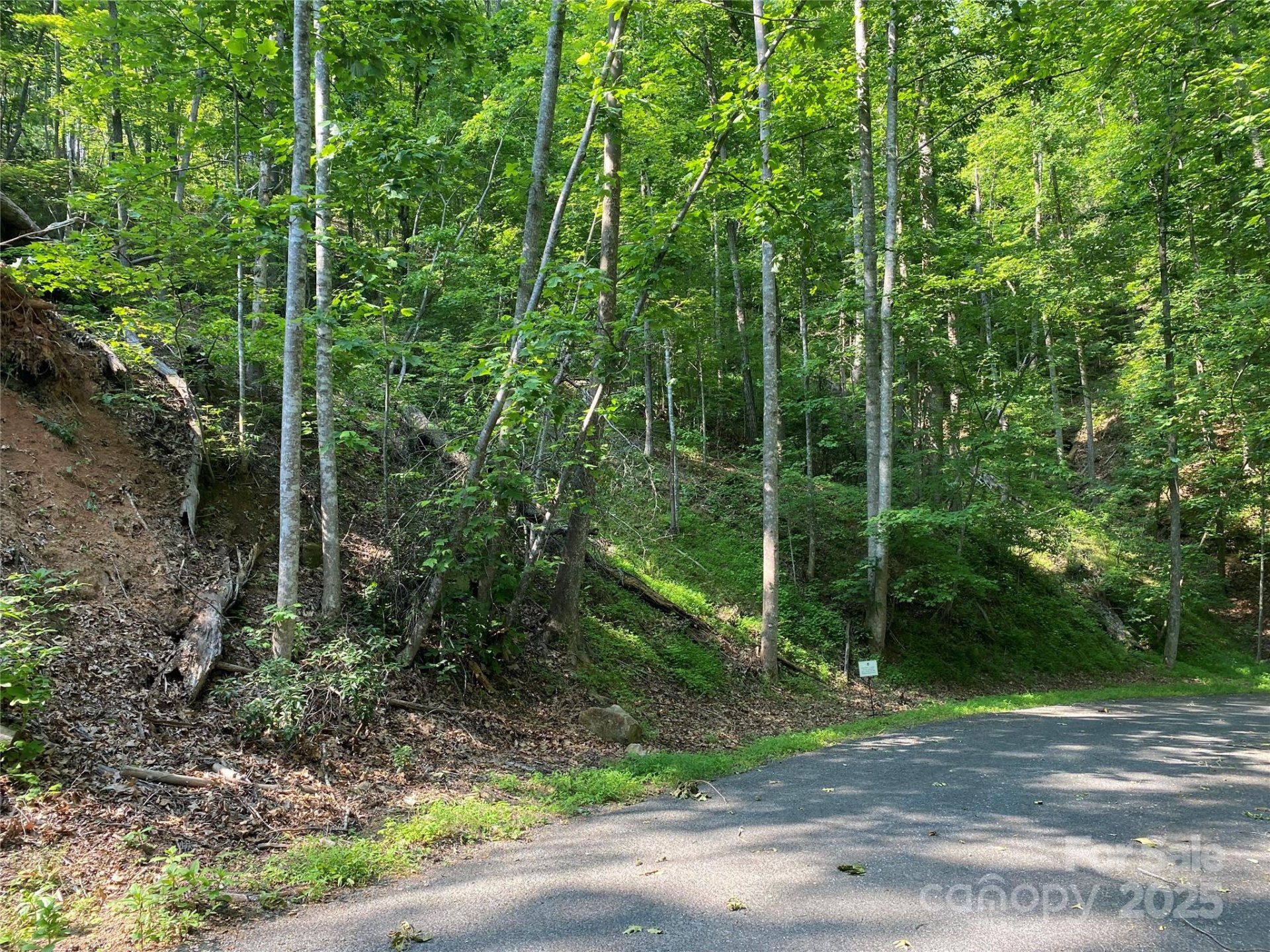 Property image 4 at 0 South Drive, Lake Lure, NC 28746