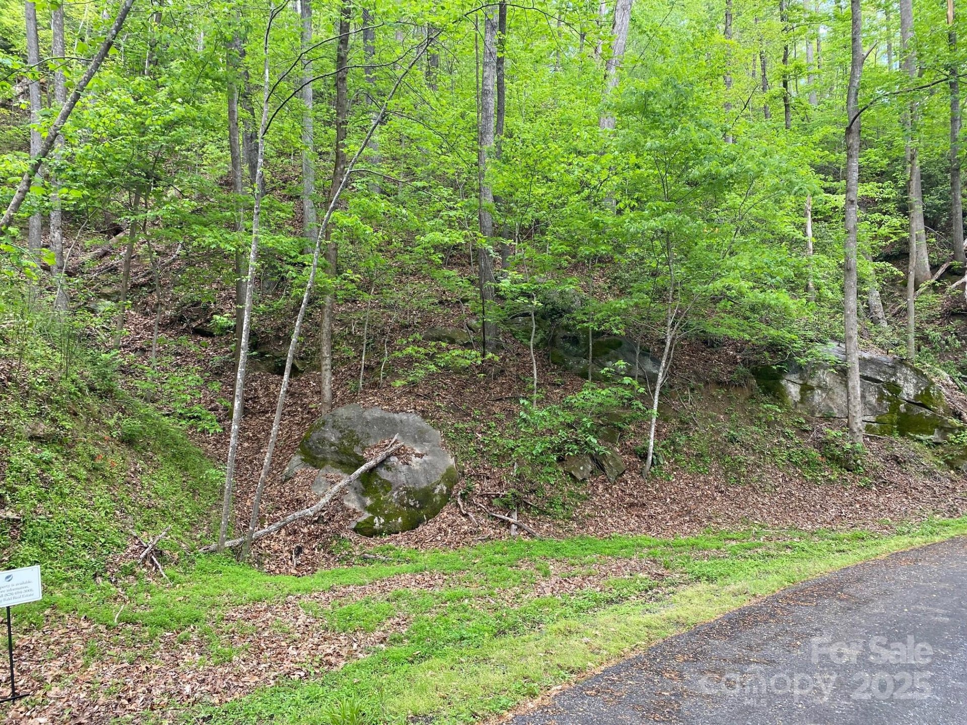 Property image 5 at 0 South Drive, Lake Lure, NC 28746