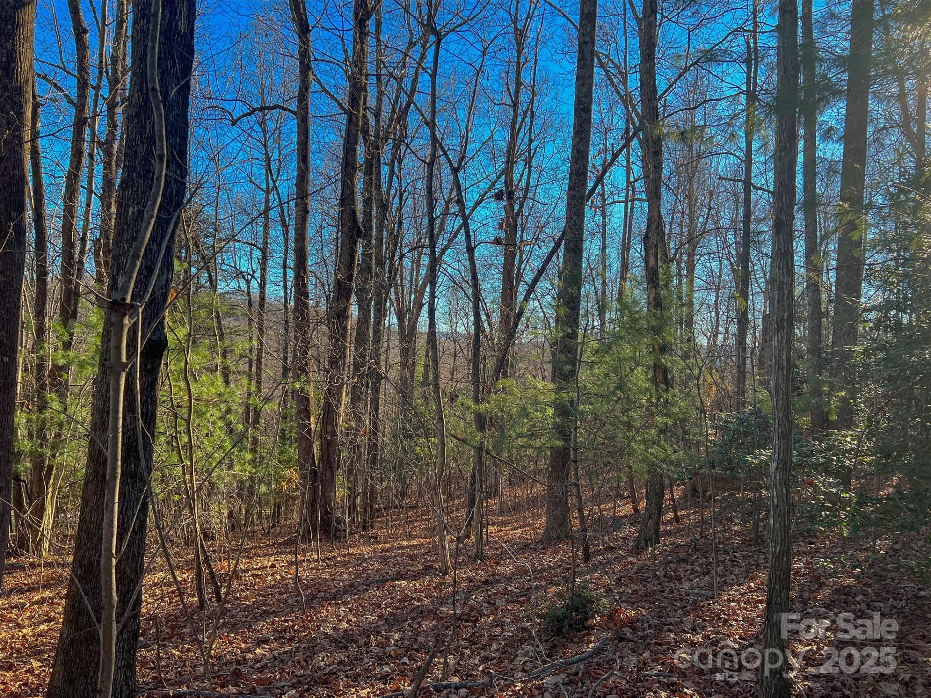 Property image 1 at 203 Bent Pine Trace, Hendersonville, NC 28739