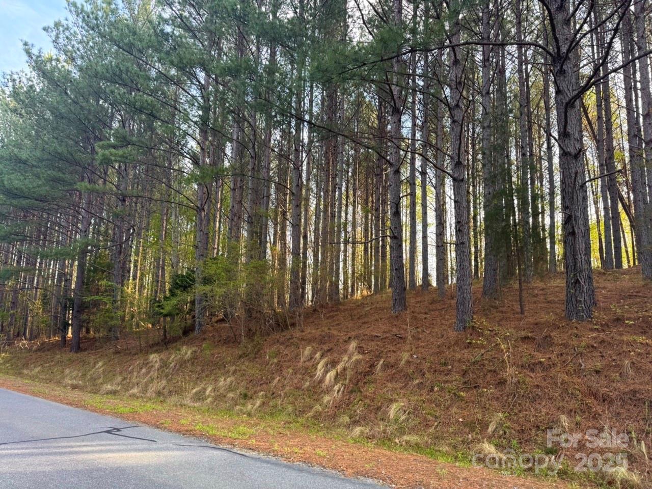 Property image 2 at 0 Clearwater Parkway, Rutherfordton, NC 28139