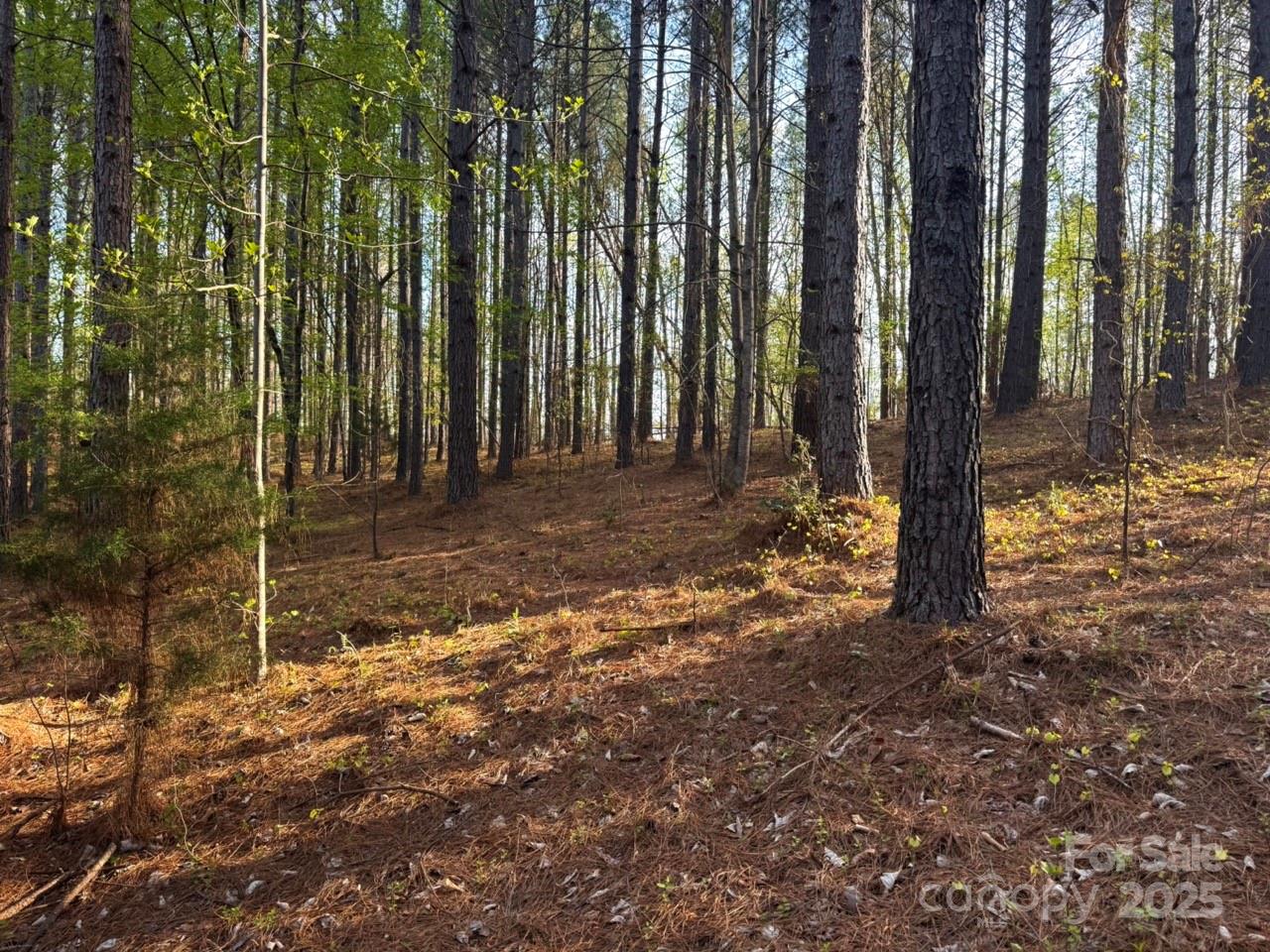 Property image 4 at 0 Clearwater Parkway, Rutherfordton, NC 28139