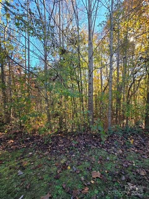 Property image 2 at 0 Brave Avenue, Maiden, NC 28650