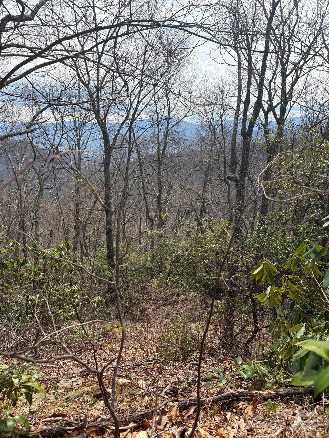 Tbd Running Deer Trail