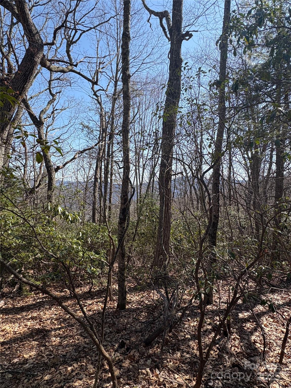 Tbd Leatherwood Road
