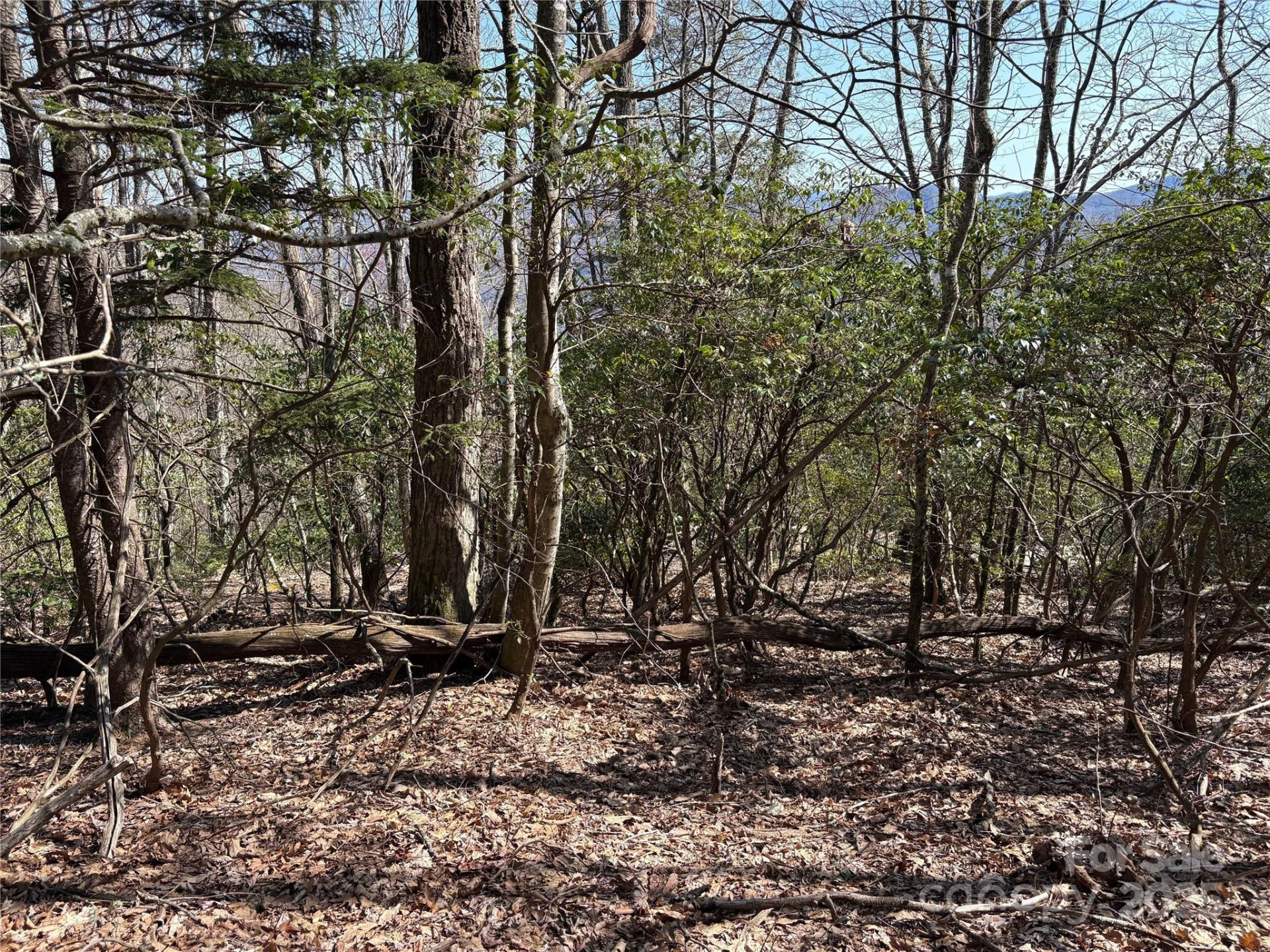 Property image 2 at Tbd Leatherwood Road, Maggie Valley, NC 28751