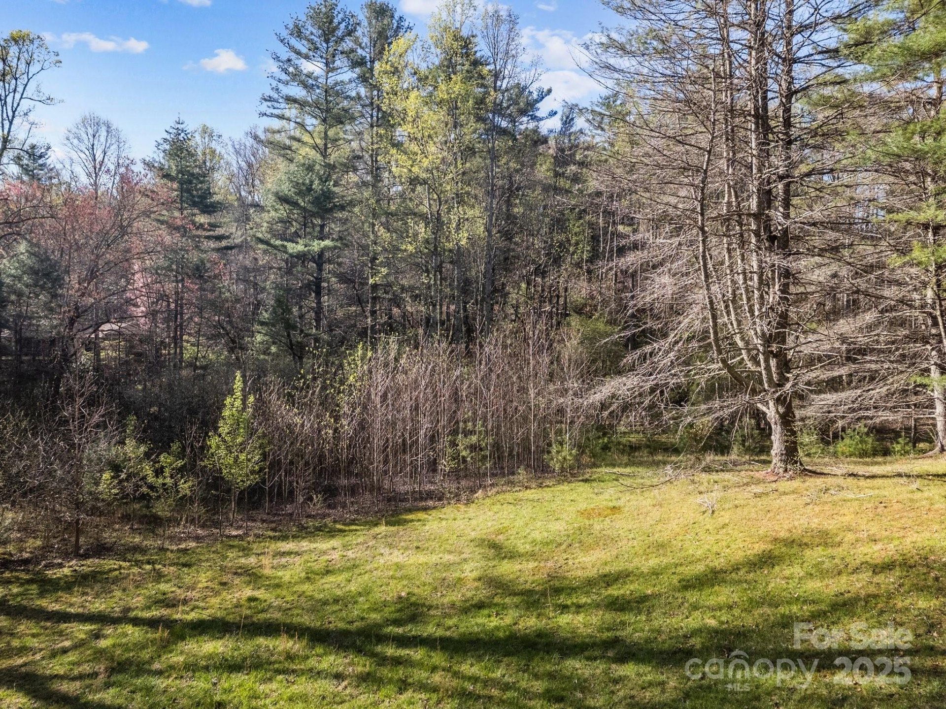 Property image 5 at 361 Rickel Drive, Hendersonville, NC 28739