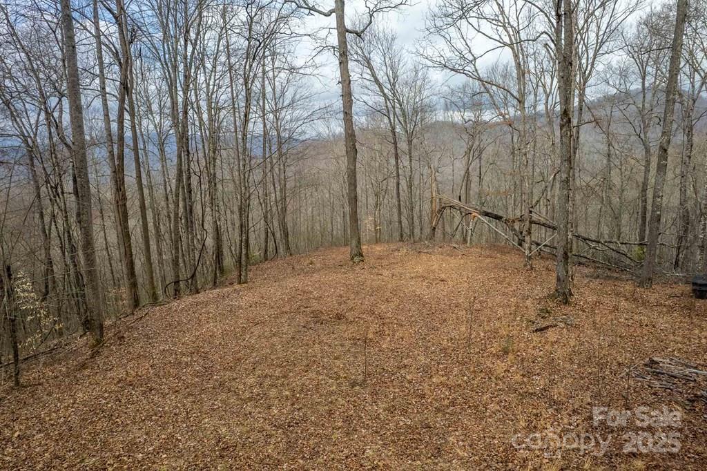 Property image 2 at Lot 11 Stone Pillow Road, Tuckasegee, NC 28783