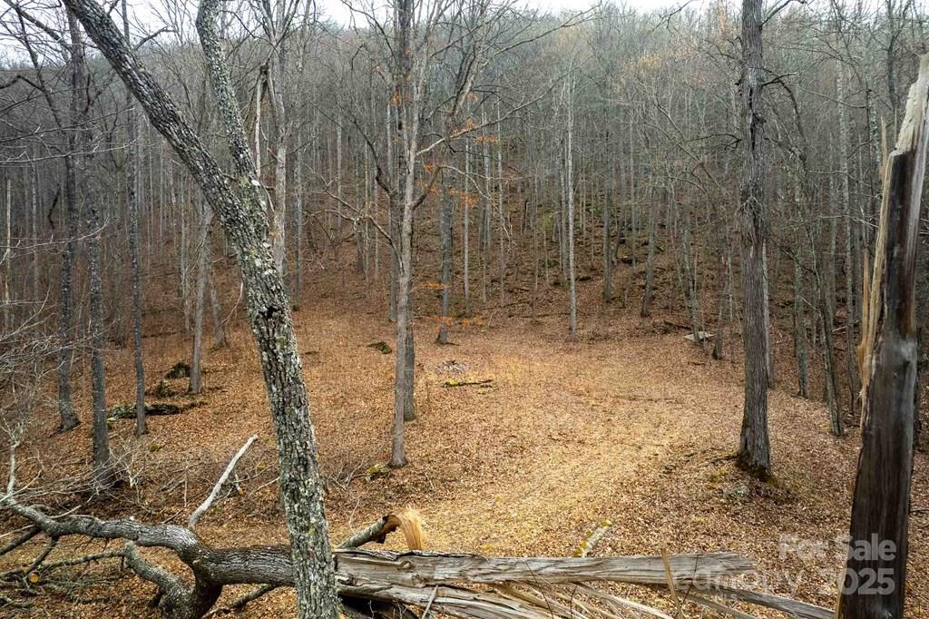 Property image 5 at Lot 11 Stone Pillow Road, Tuckasegee, NC 28783