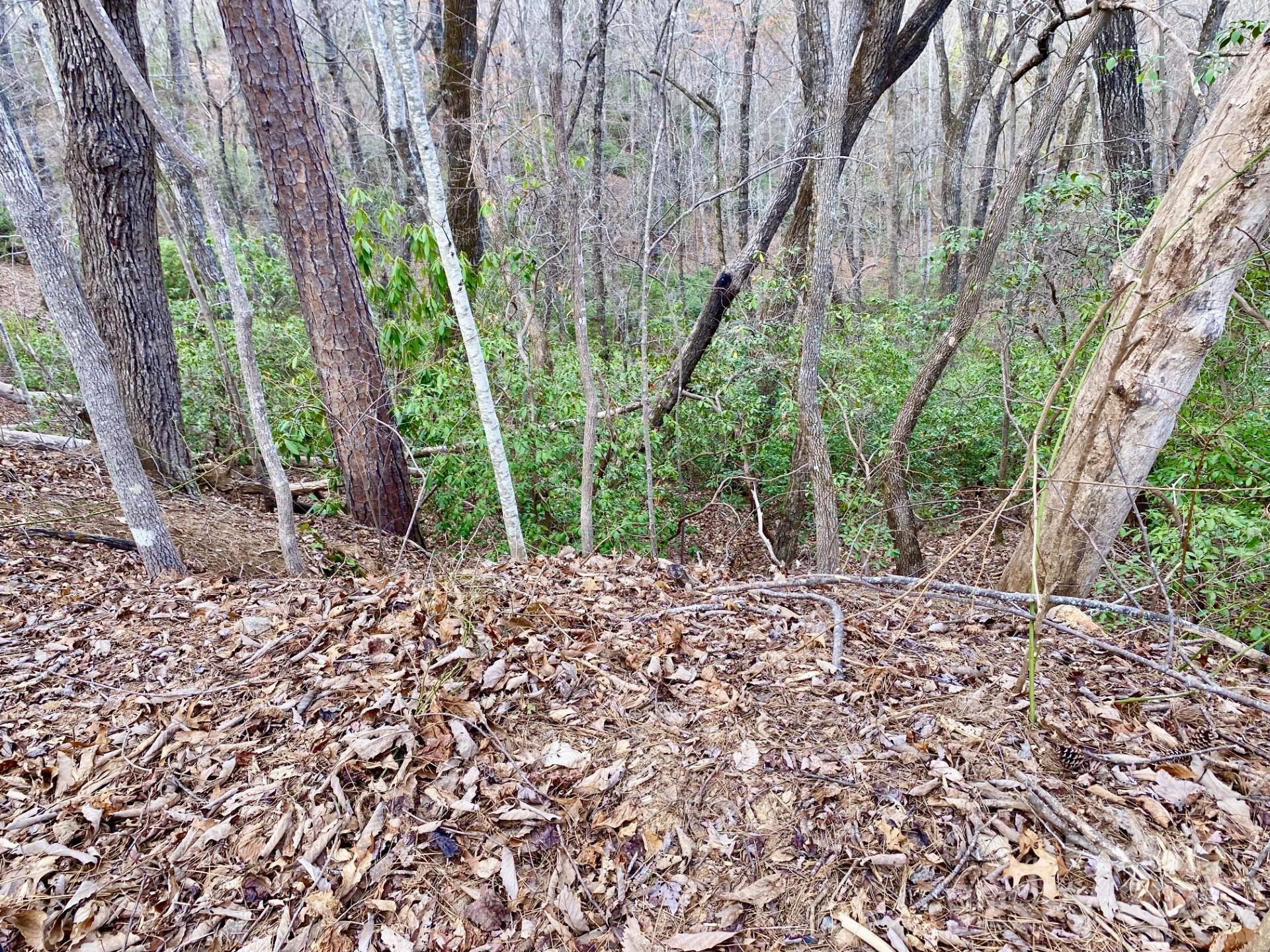 Property image 2 at 0 Rumbling Bald Road, Lake Lure, NC 28746