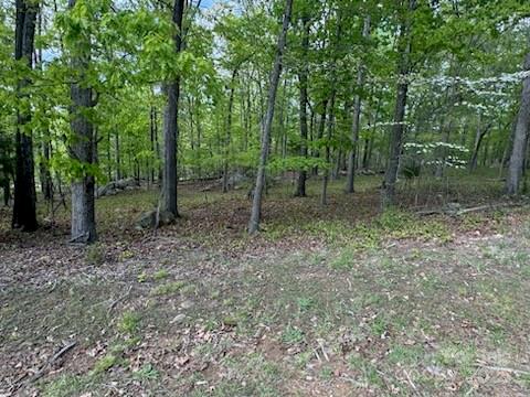 266 Rocky Cove Lane
