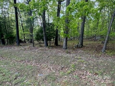 Property image 2 at 266 Rocky Cove Lane, Denton, NC 27239