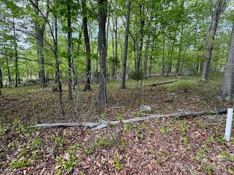 Property image 3 at 266 Rocky Cove Lane, Denton, NC 27239