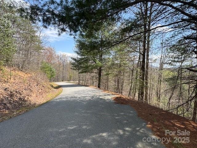 Property image 2 at 192 Pine Cone Trail, Marshall, NC 28753