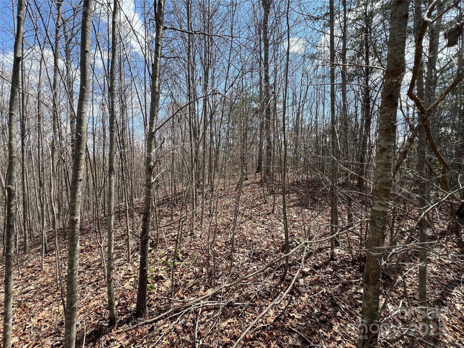 Property image 5 at 192 Pine Cone Trail, Marshall, NC 28753