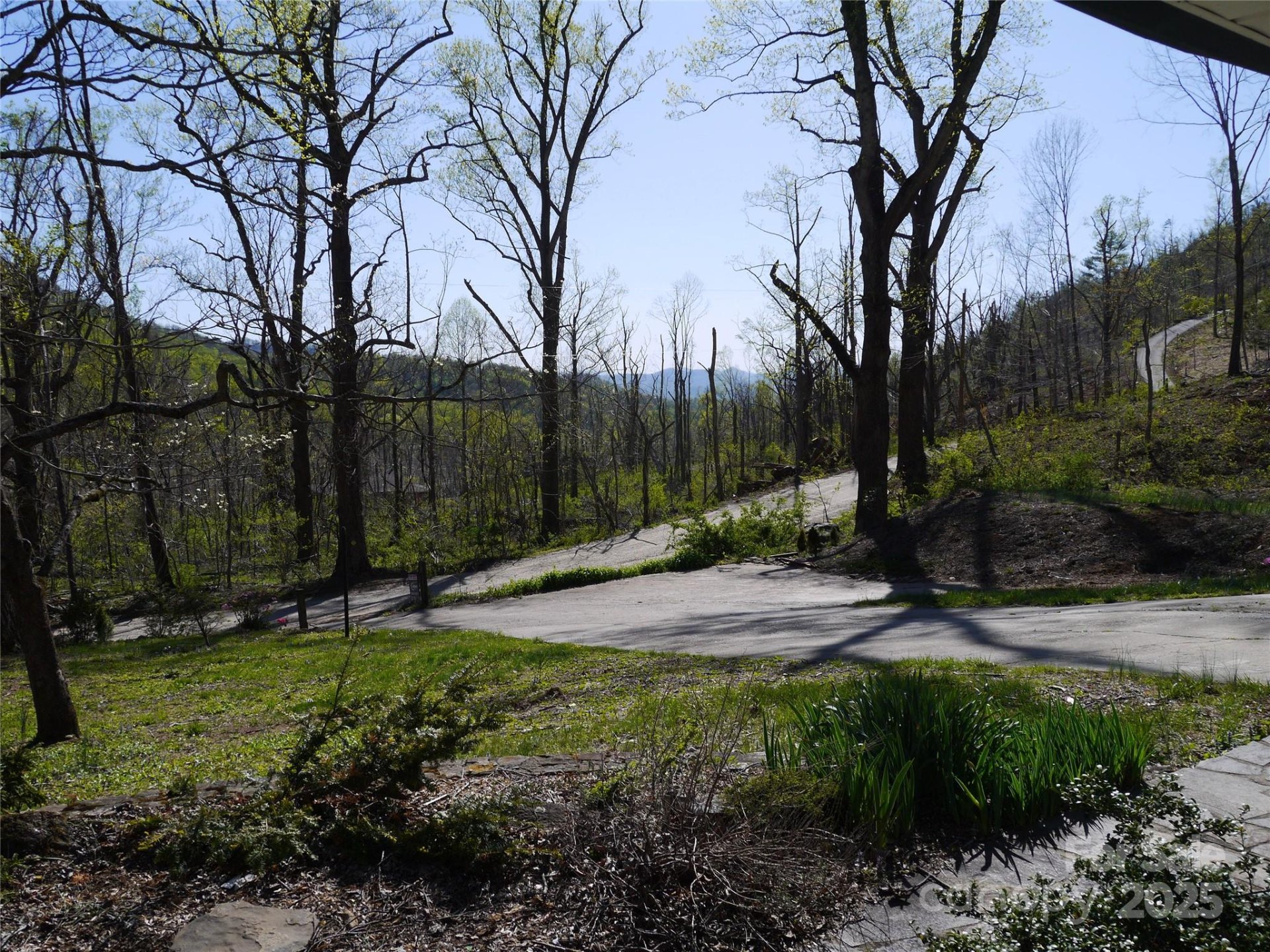 Property image 4 at 305 Webb Cove Road, Asheville, NC 28804