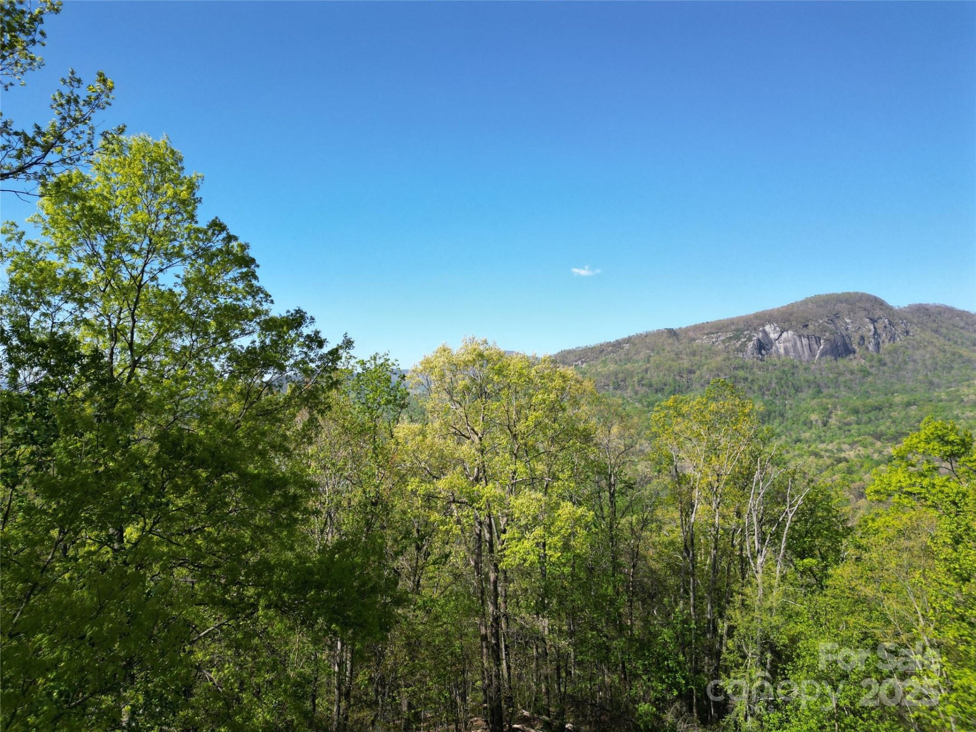 Property image 3 at 138 Estates Road, Lake Lure, NC 28746