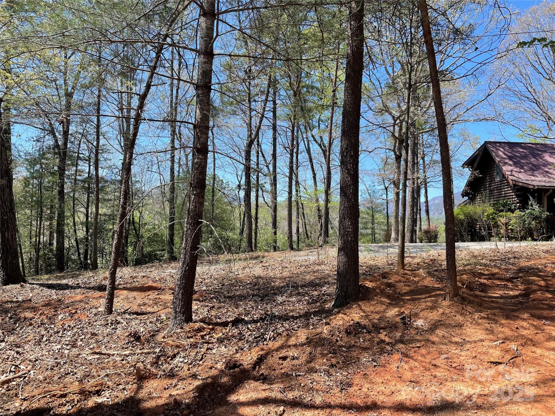 Property image 5 at 0 Sparrows Way, Lake Lure, NC 28746
