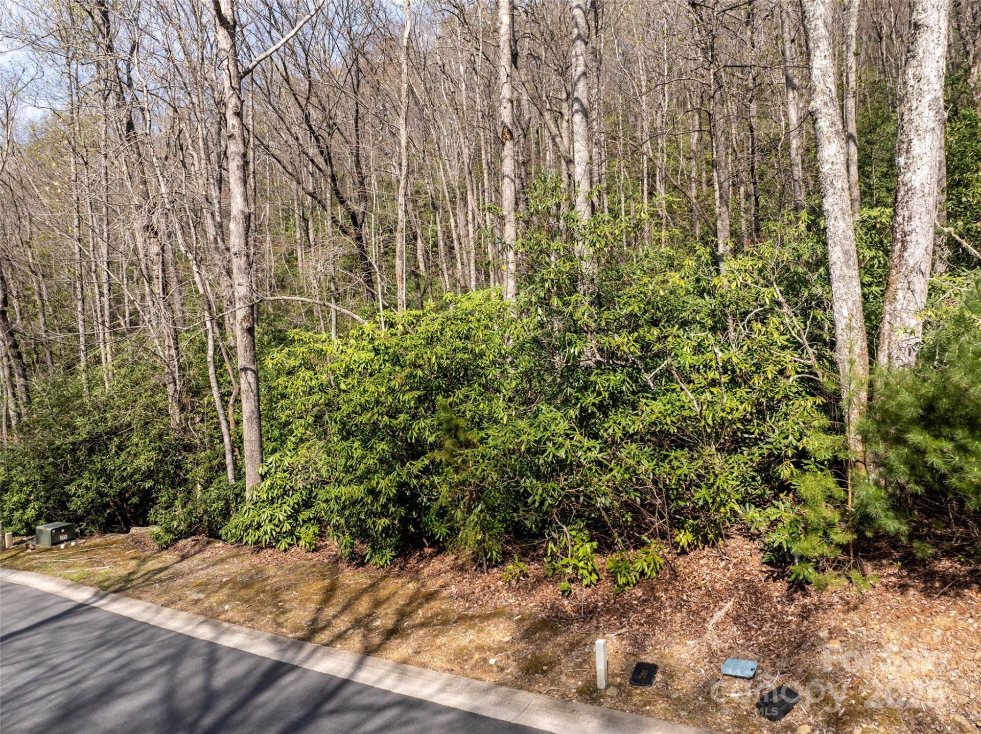 Property image 5 at 50 Settings Boulevard, Black Mountain, NC 28711