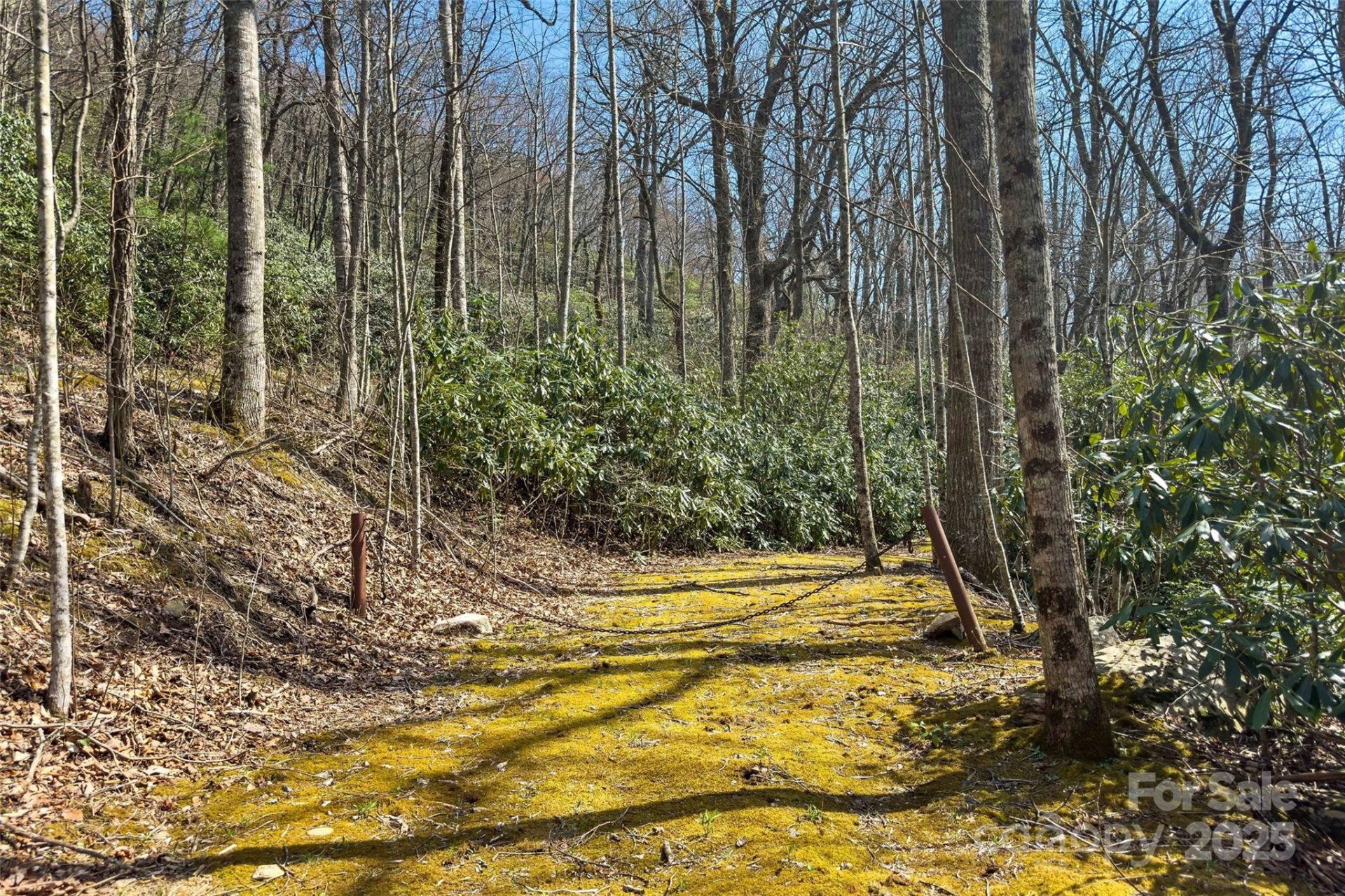Property image 5 at 30 Red Oak Forest Road, Fairview, NC 28730