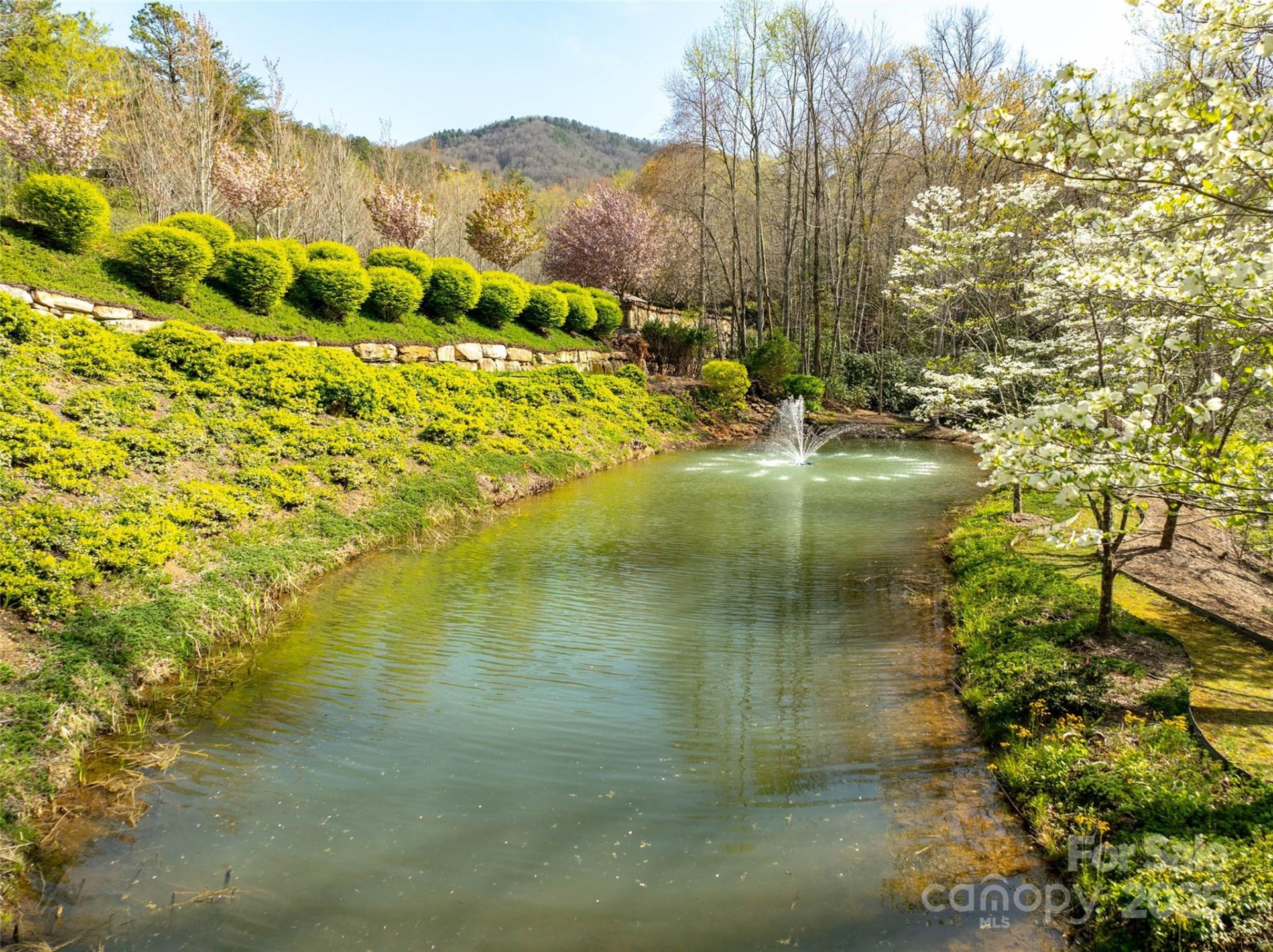 Property image 4 at 63 Old Lafayette Lane, Black Mountain, NC 28711