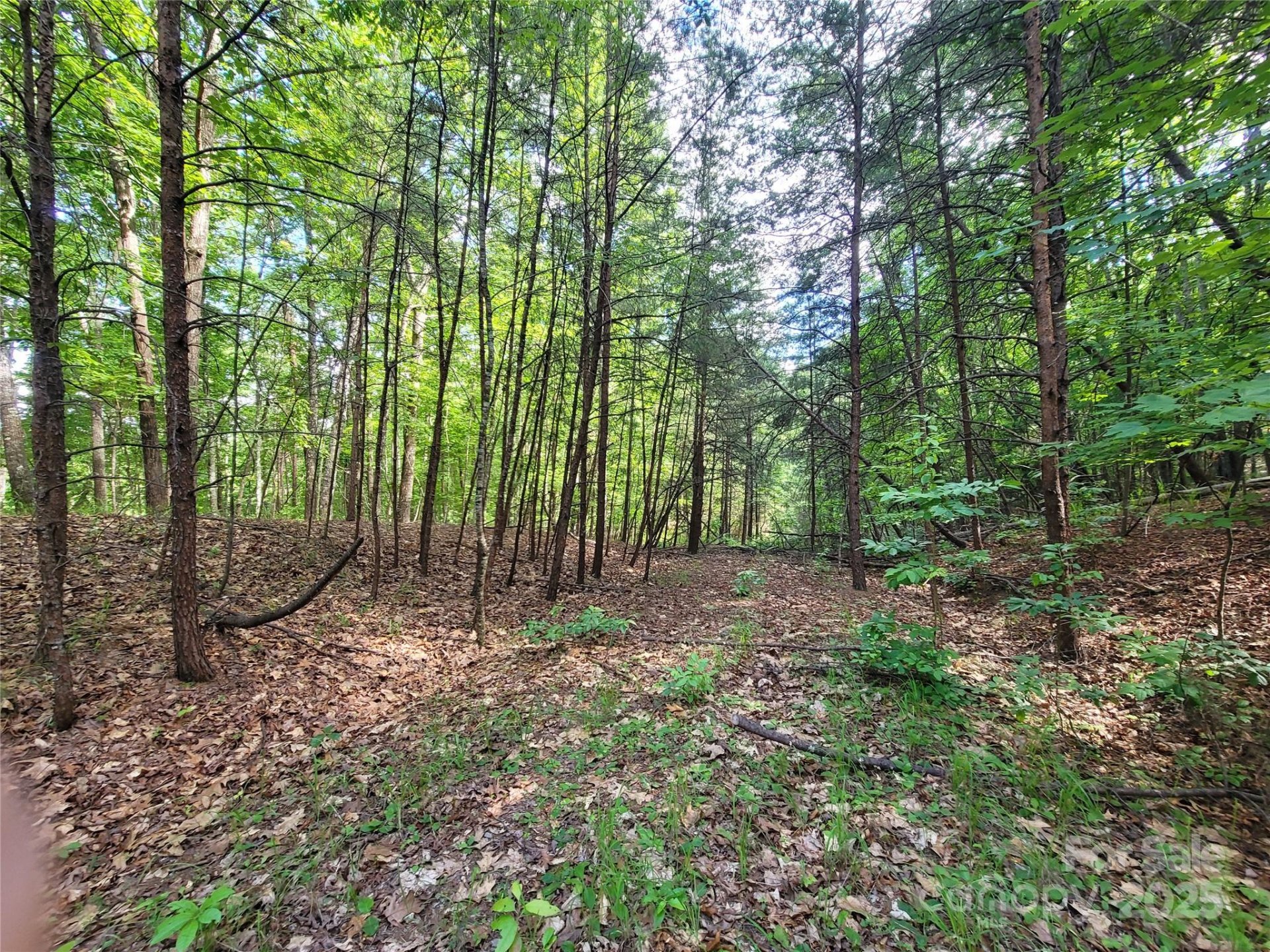 Property image 5 at 0 Mcowenben Pass, Lake Lure, NC 28746
