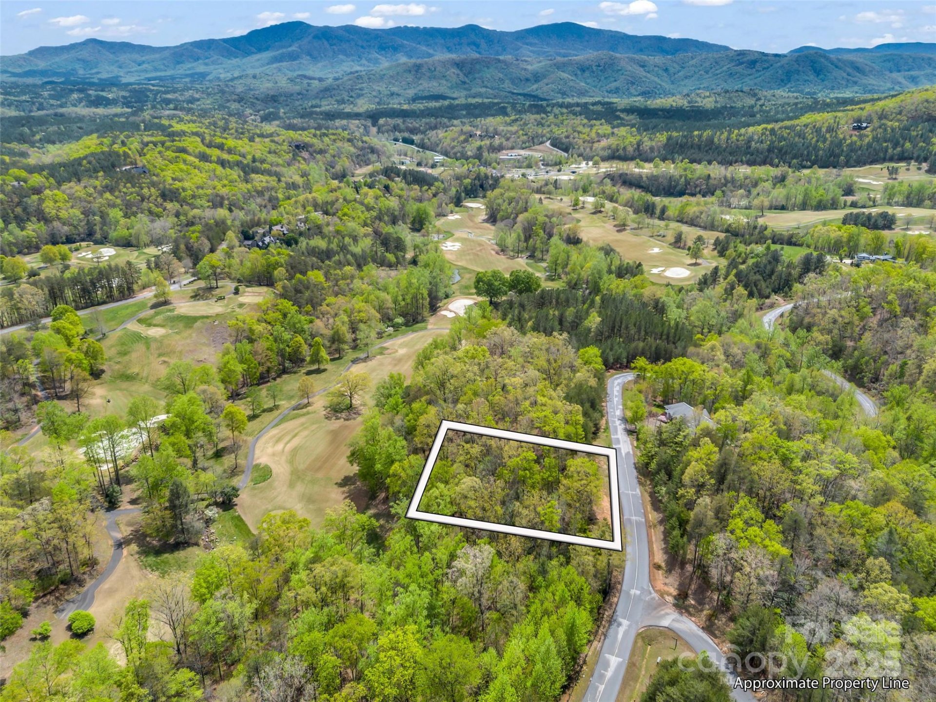Property image 3 at 112 Deep Gap Farm Road, Mill Spring, NC 28756