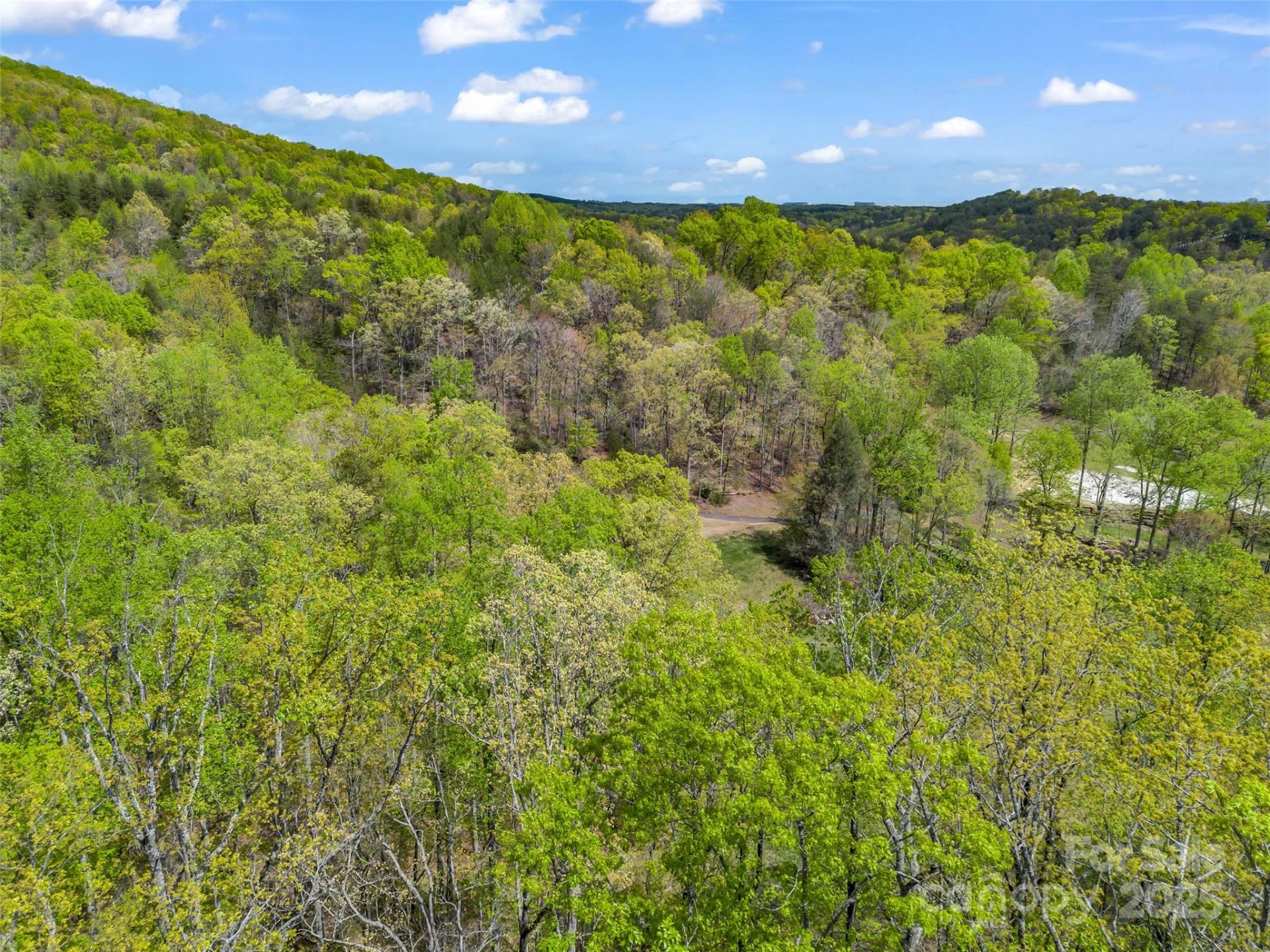 Property image 4 at 112 Deep Gap Farm Road, Mill Spring, NC 28756