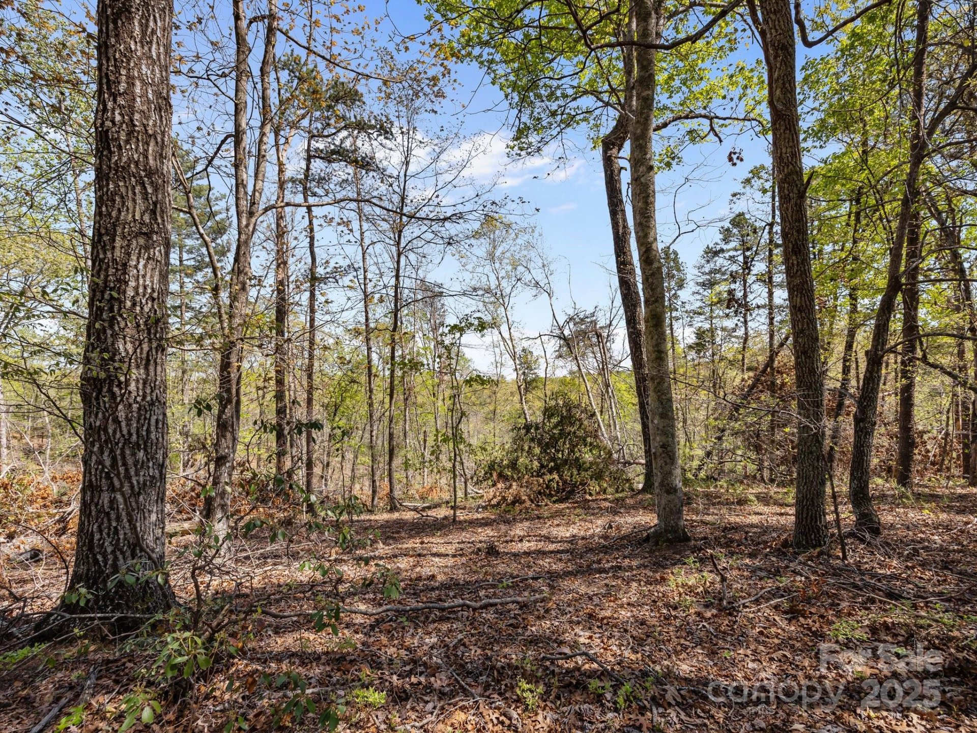 Property image 3 at 0 Hawkins Lane, Mill Spring, NC 28756