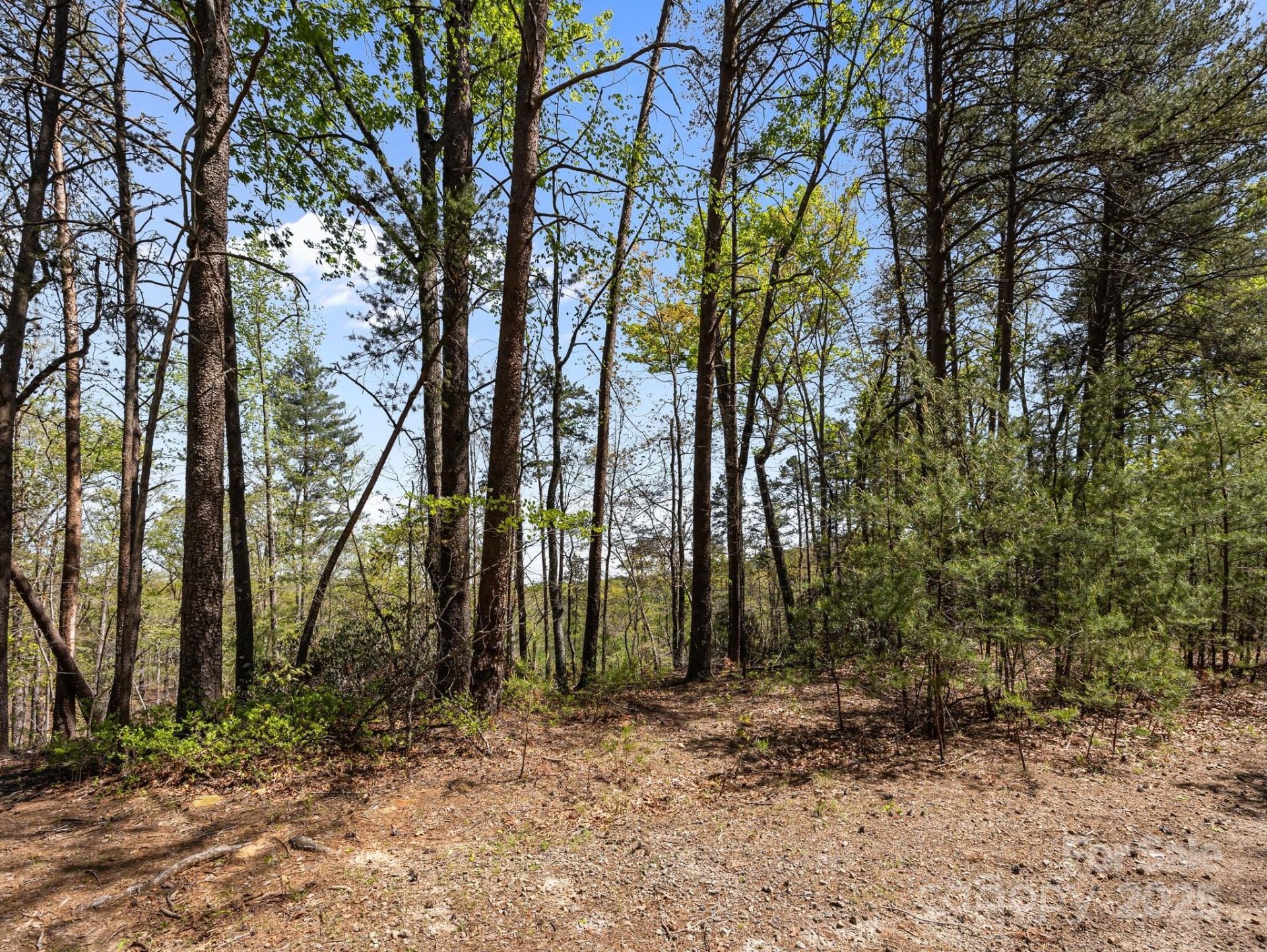 Property image 4 at 0 Hawkins Lane, Mill Spring, NC 28756