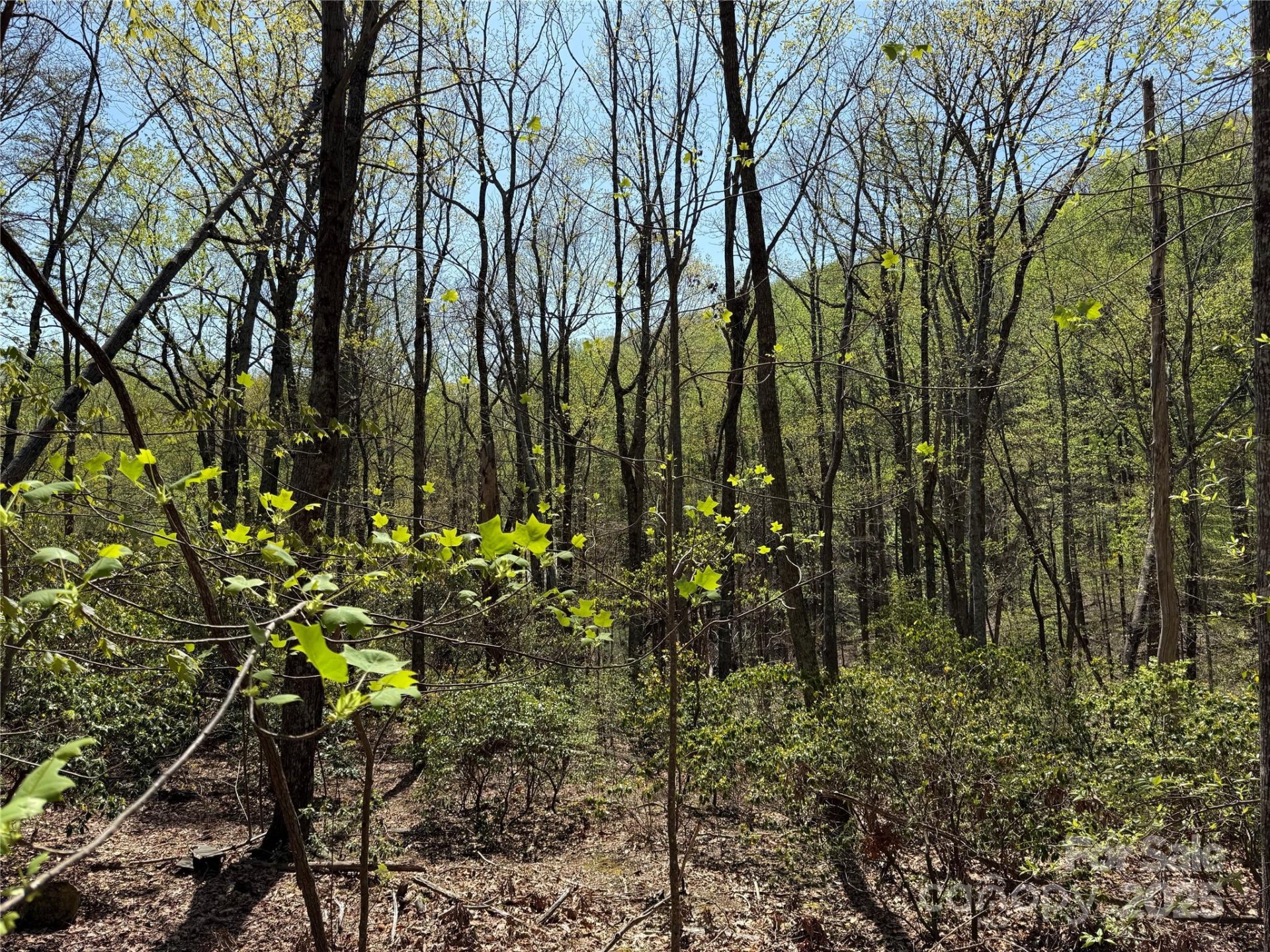 Property image 2 at 605 Mountain Summit Road, Travelers Rest, SC 29690