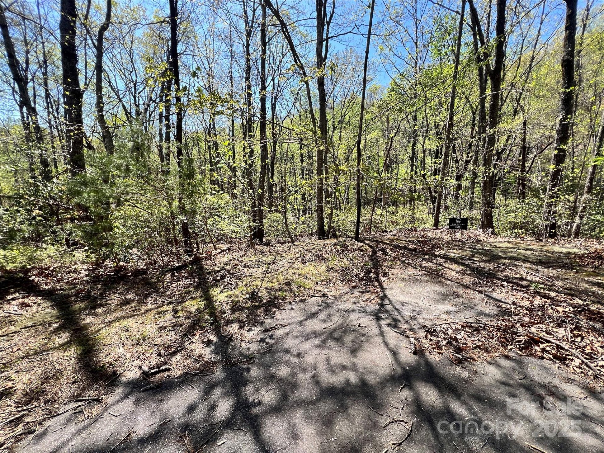 Property image 3 at 605 Mountain Summit Road, Travelers Rest, SC 29690