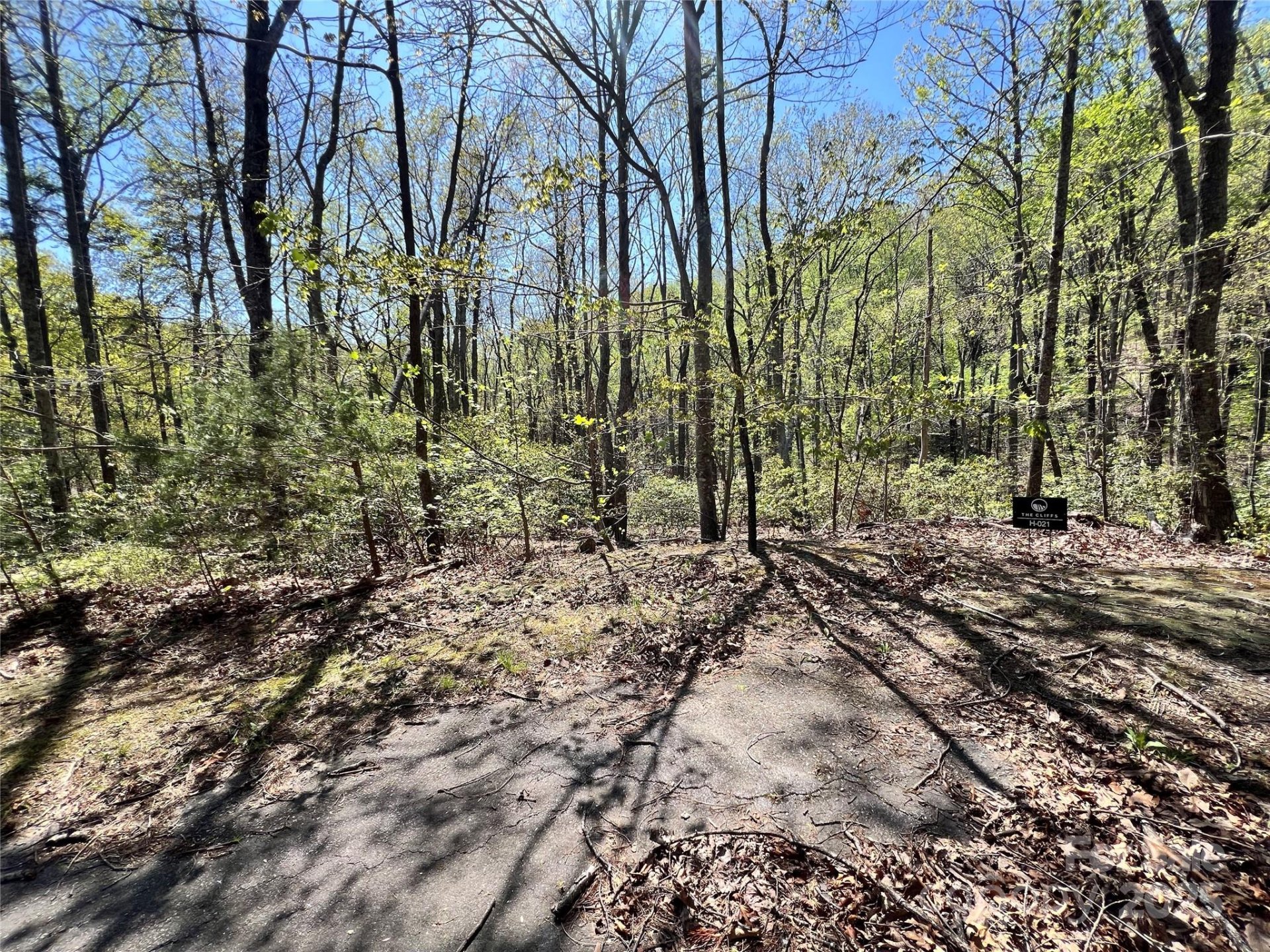 Property image 4 at 605 Mountain Summit Road, Travelers Rest, SC 29690