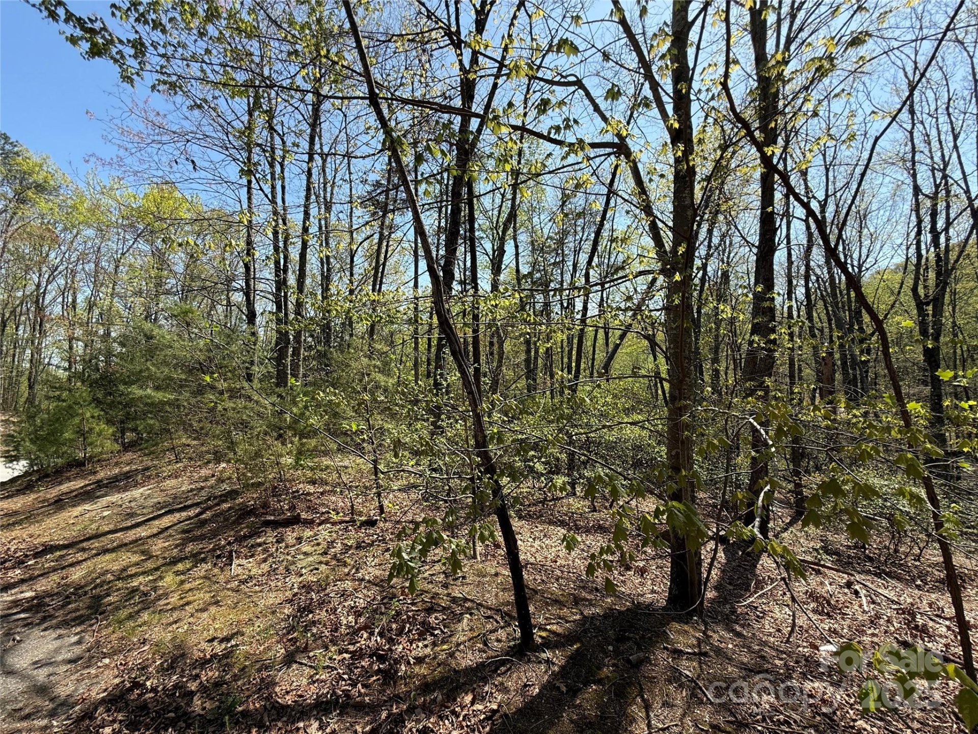 Property image 5 at 605 Mountain Summit Road, Travelers Rest, SC 29690