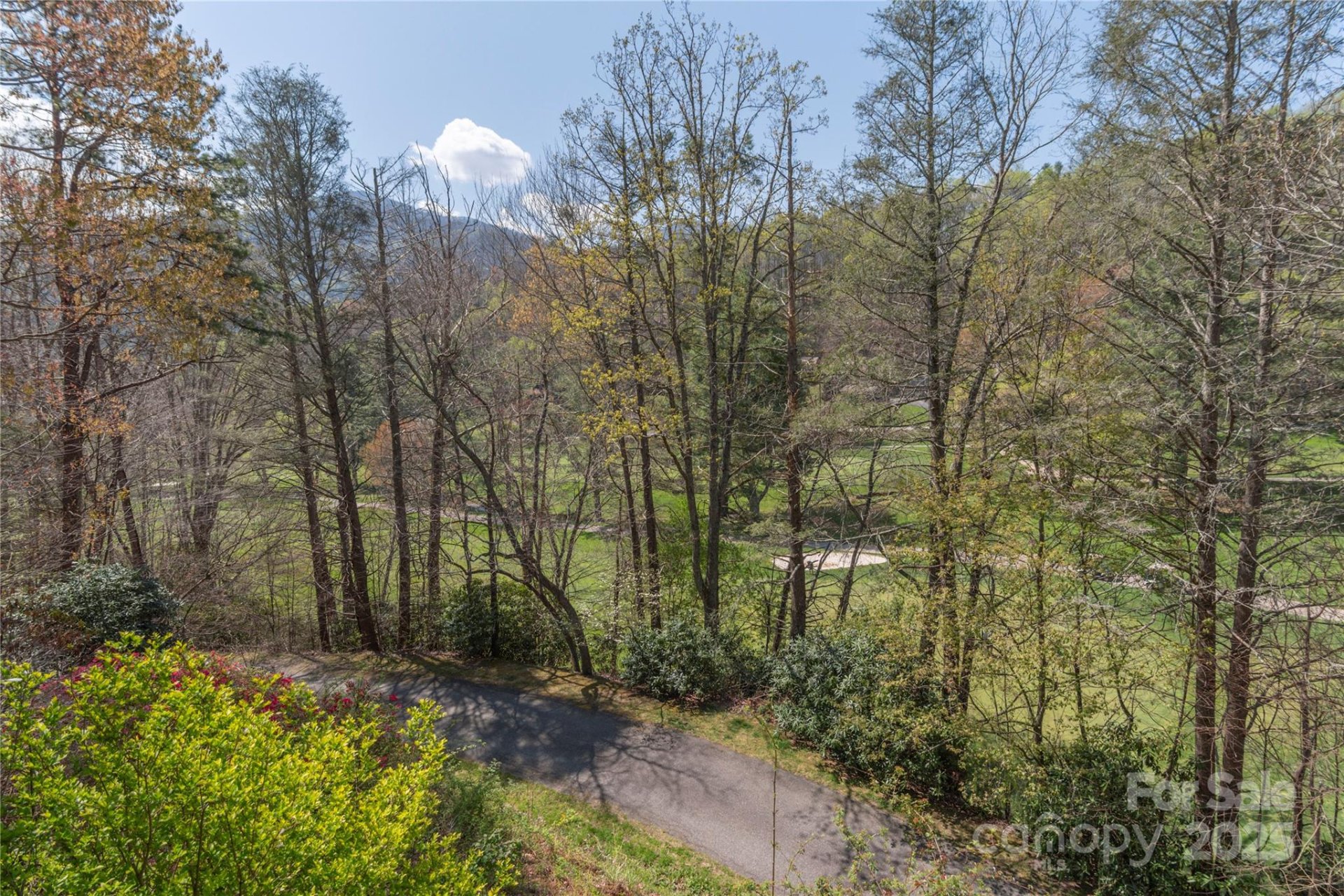 Property image 3 at 1429 Country Club Drive, Maggie Valley, NC 28751