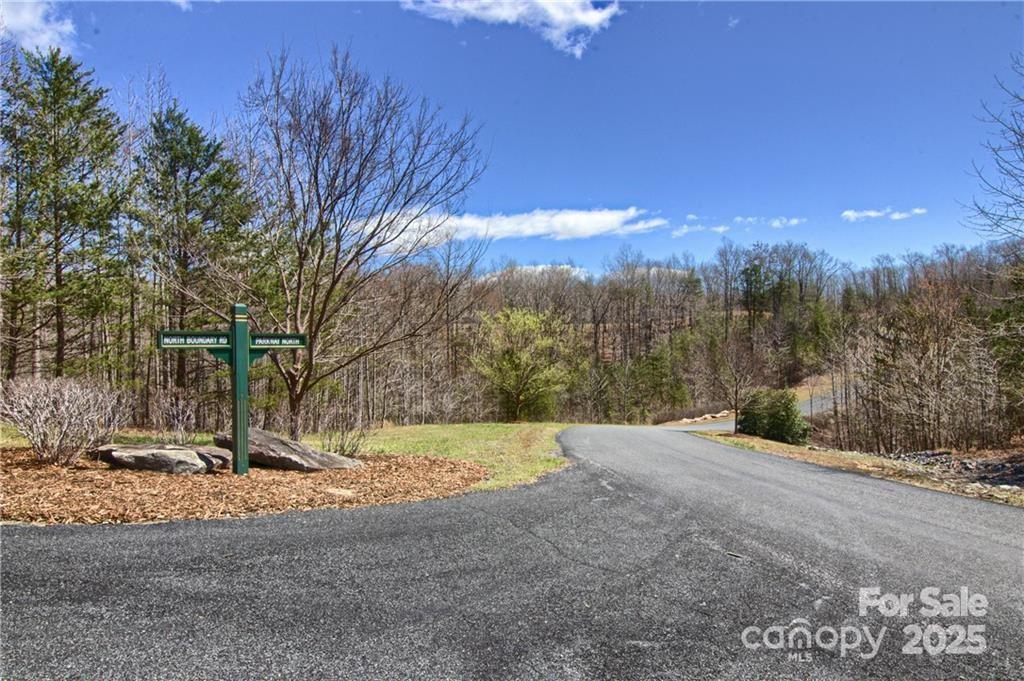 Property image 3 at 00 N Boundary Road, Mill Spring, NC 28756
