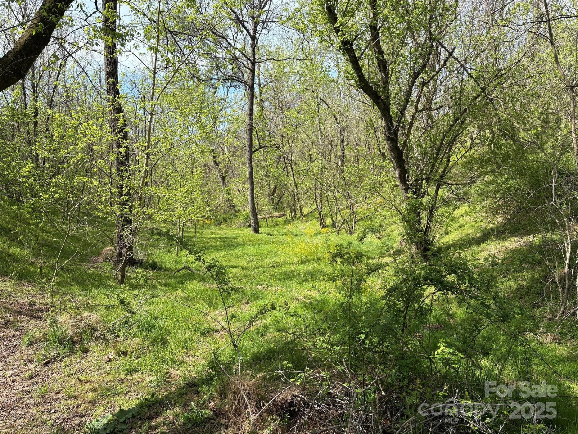Property image 3 at Tbd Big Rocky Top Drive, Weaverville, NC 28787