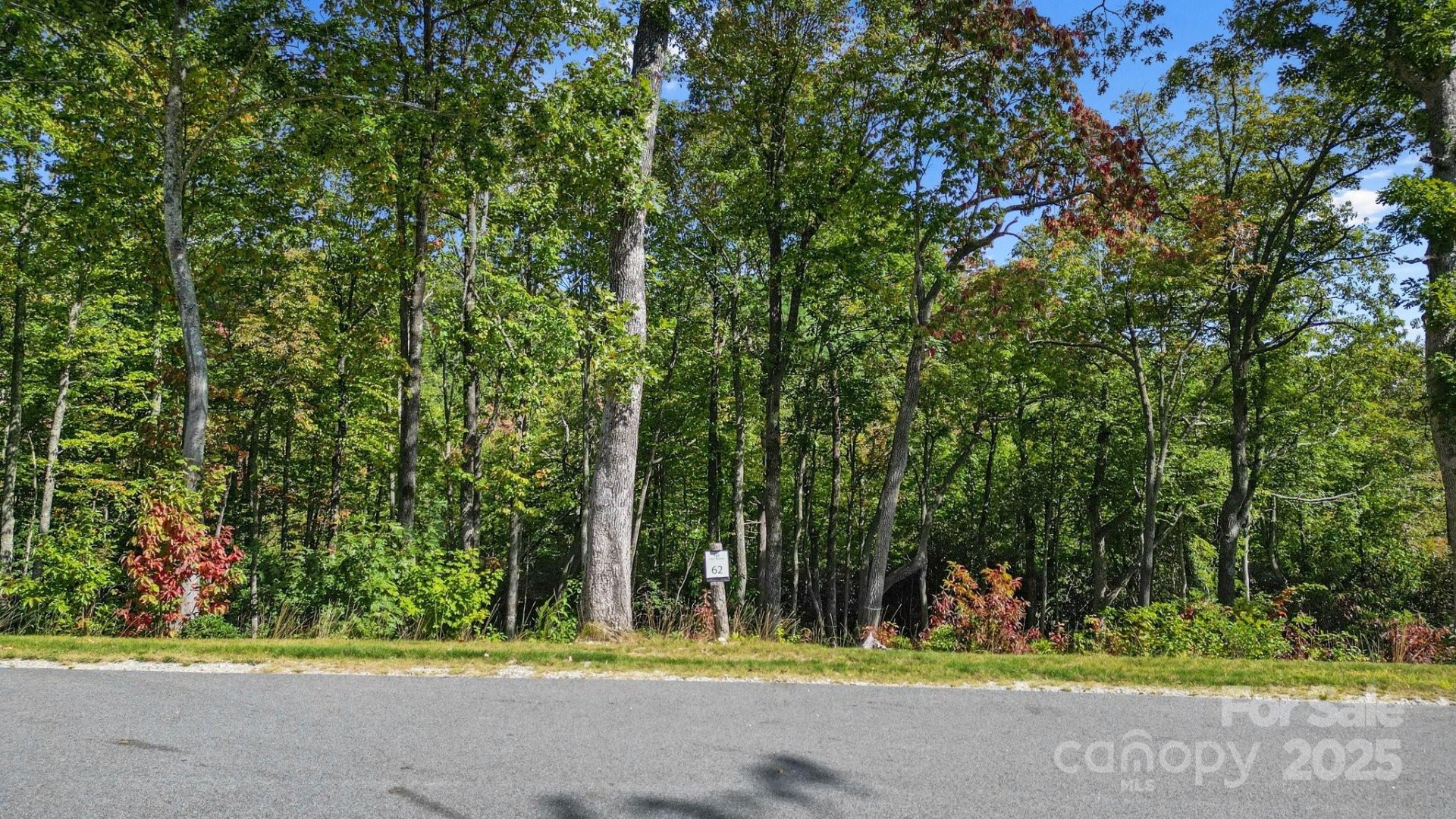 0 Mountain Grove Lane