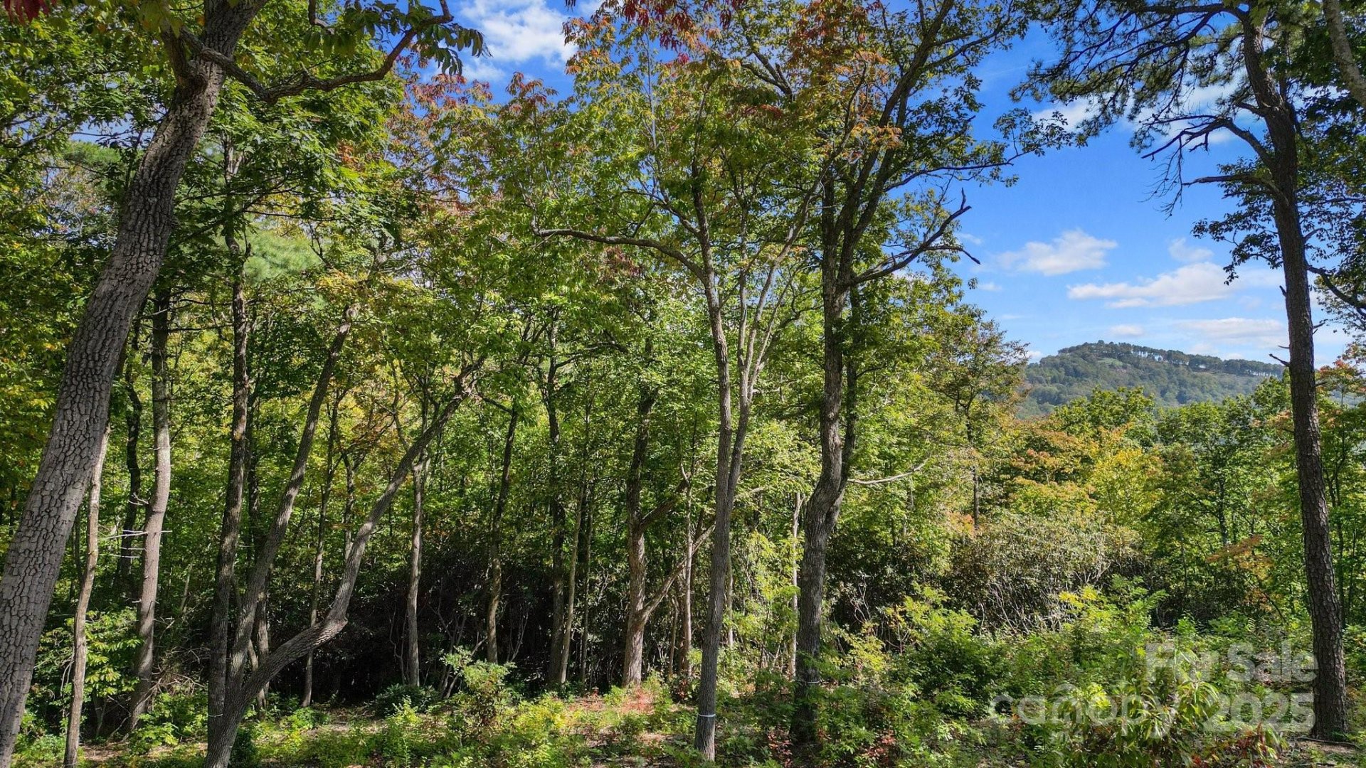 Property image 2 at 0 Mountain Grove Lane, Fletcher, NC 28732