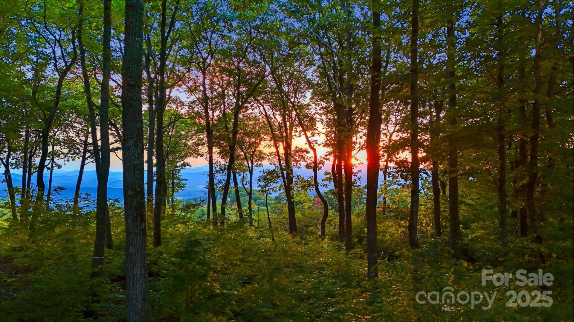 Property image 2 at 0 Mountain Grove Lane, Fletcher, NC 28732
